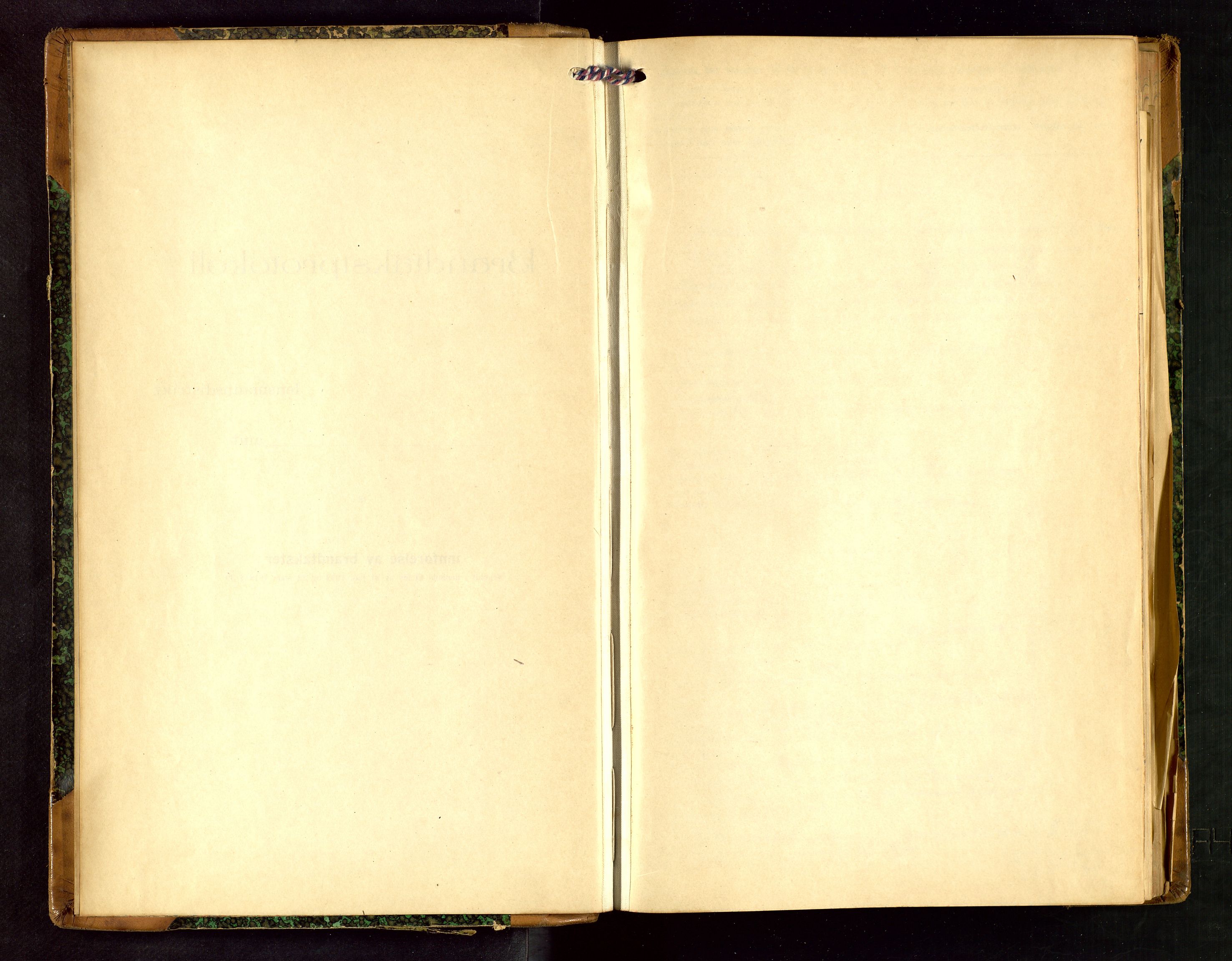 Håland lensmannskontor, SAST/A-100100/Gob/L0007: Branntakstprotokoll - skjematakst. Register i boken., 1920-1925