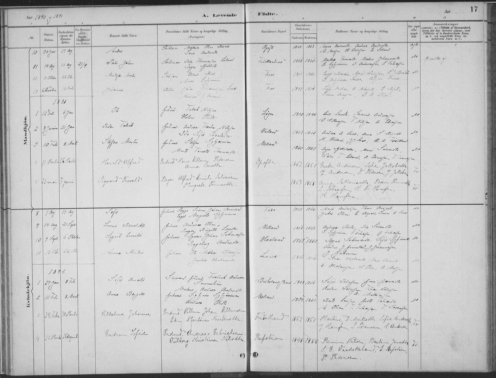 Kvinesdal sokneprestkontor, SAK/1111-0026/F/Fa/Faa/L0004: Ministerialbok nr. A 4, 1882-1897, s. 17