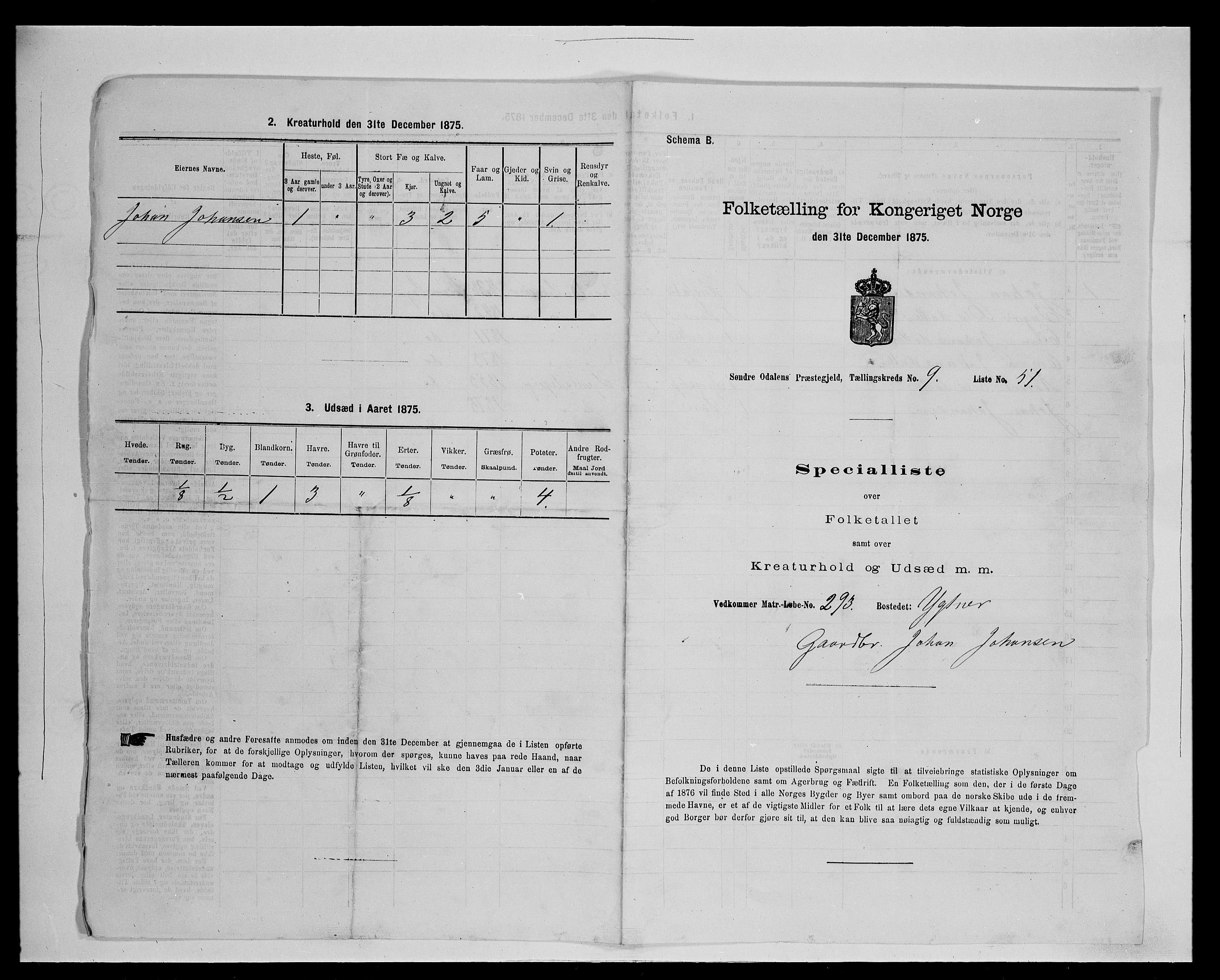 SAH, Folketelling 1875 for 0419P Sør-Odal prestegjeld, 1875, s. 982