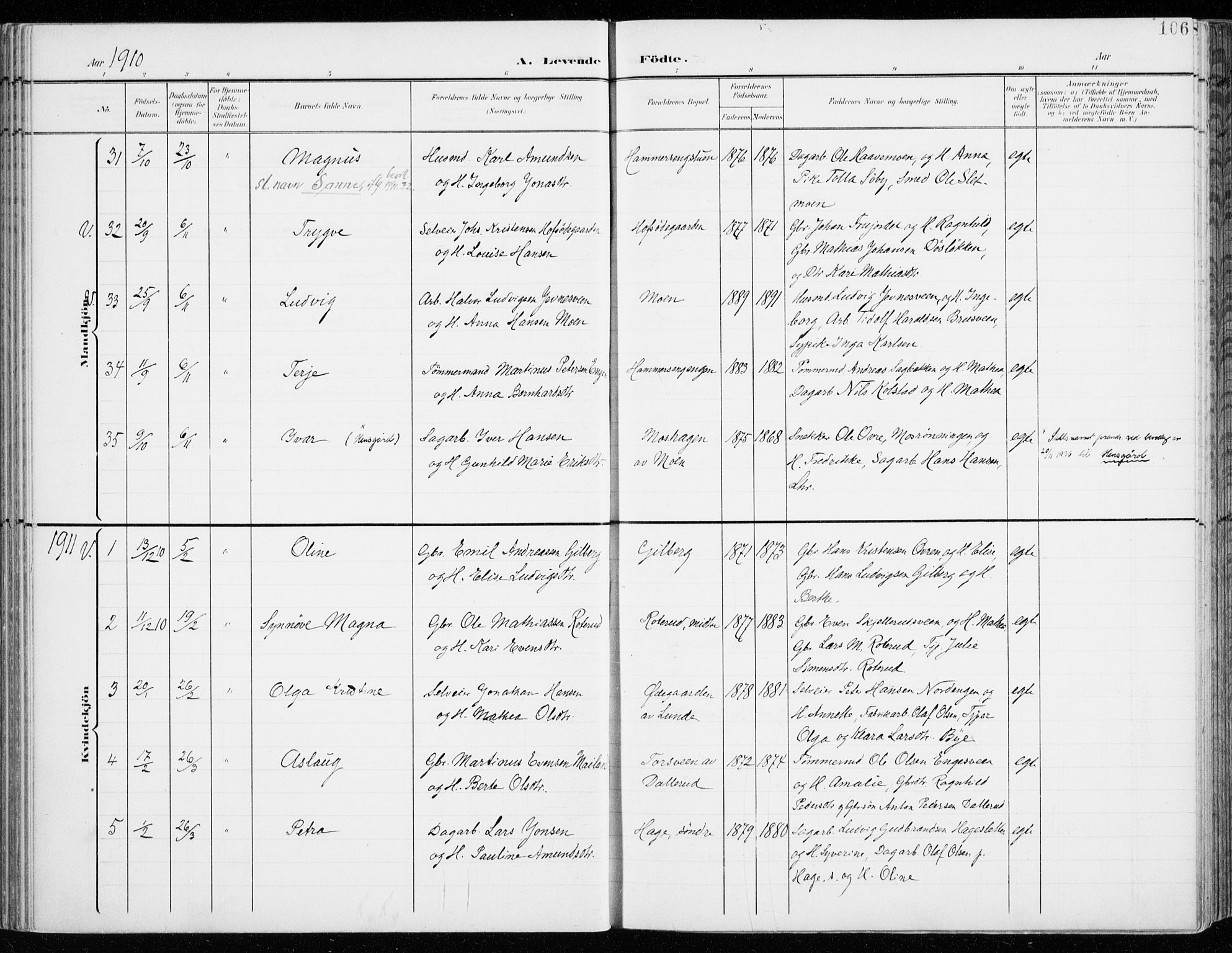 Fåberg prestekontor, AV/SAH-PREST-086/H/Ha/Haa/L0011: Ministerialbok nr. 11, 1899-1913, s. 106