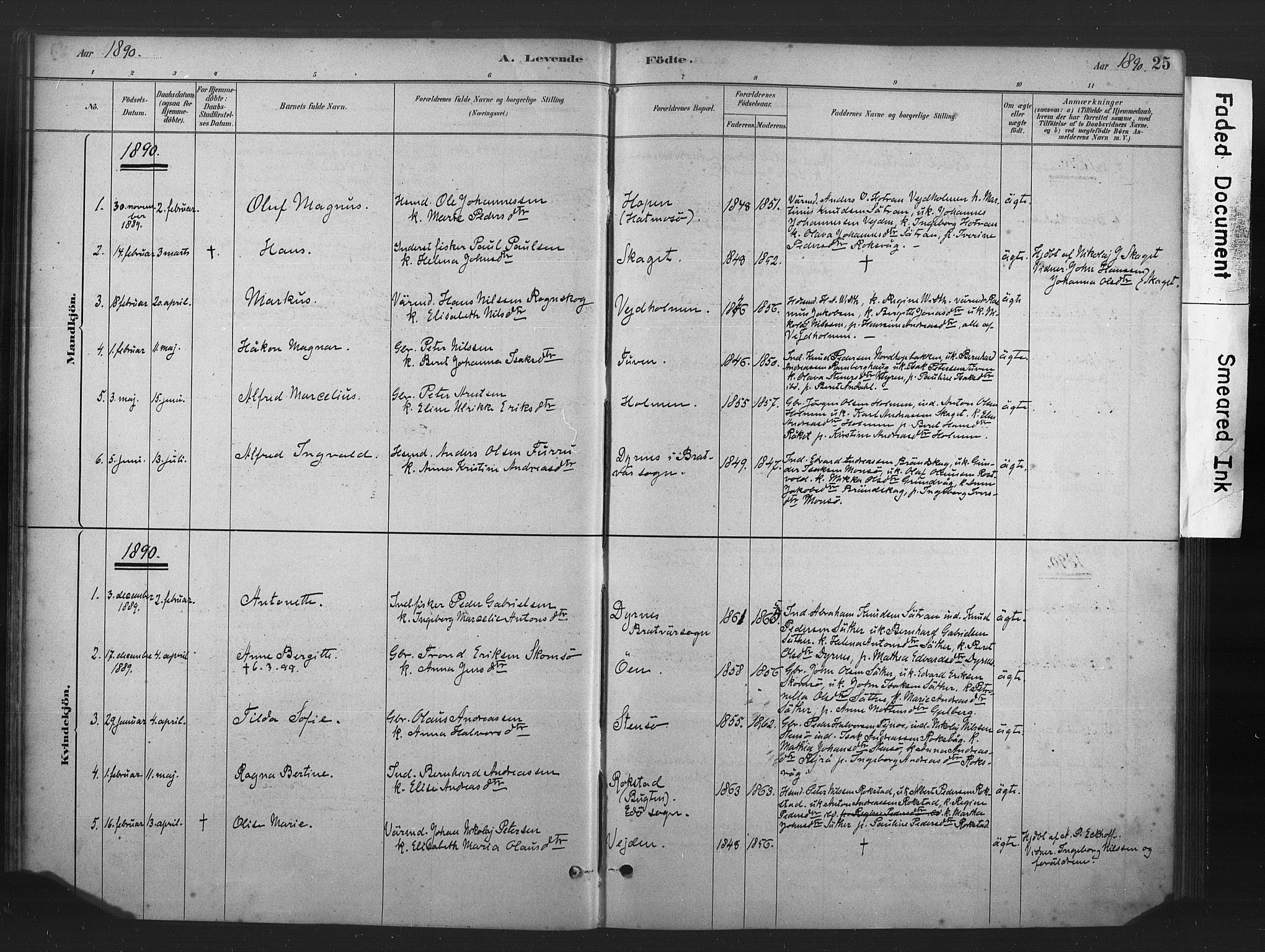 Ministerialprotokoller, klokkerbøker og fødselsregistre - Møre og Romsdal, AV/SAT-A-1454/583/L0954: Ministerialbok nr. 583A01, 1880-1906, s. 25