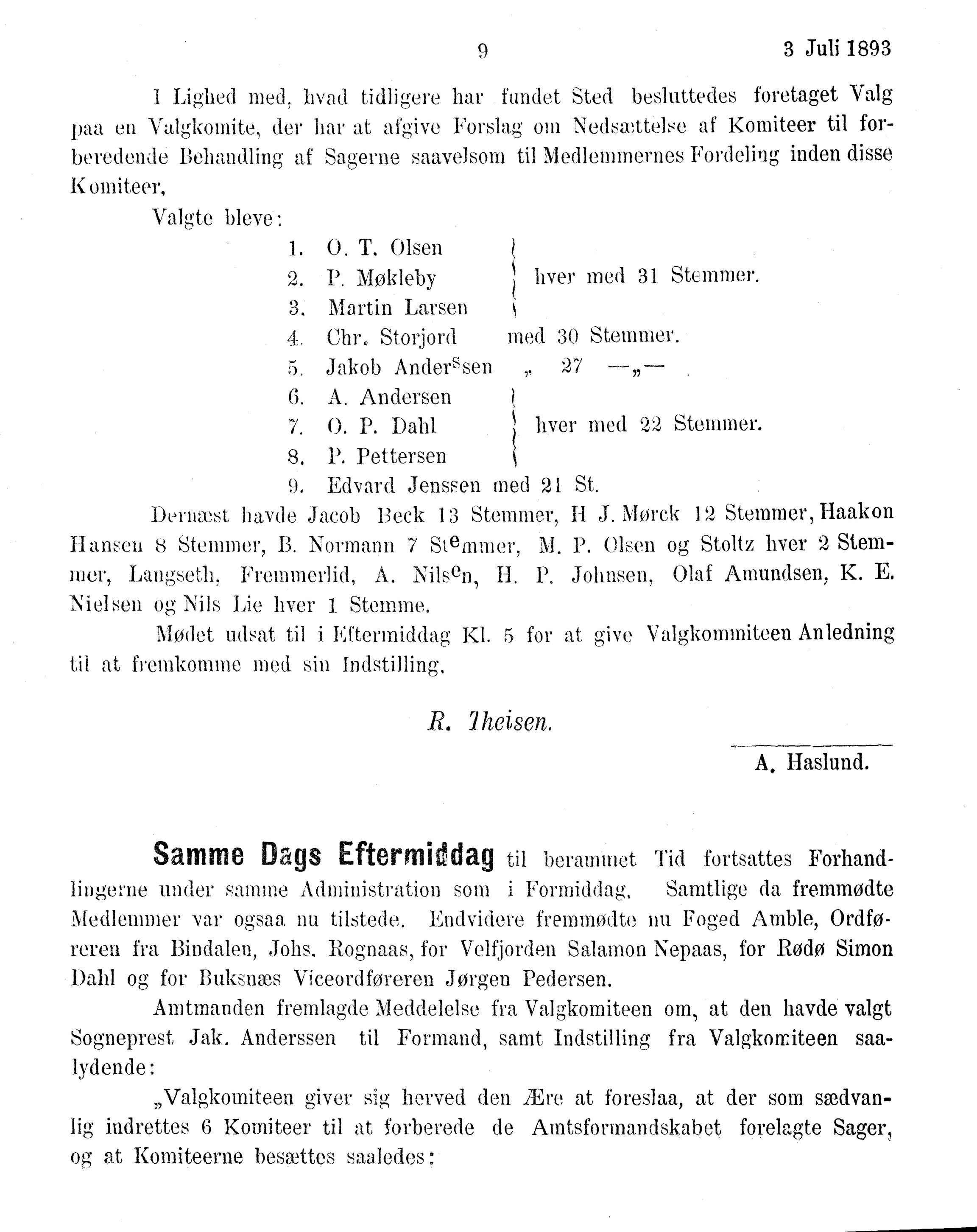 Nordland Fylkeskommune. Fylkestinget, AIN/NFK-17/176/A/Ac/L0016: Fylkestingsforhandlinger 1891-1893, 1891-1893