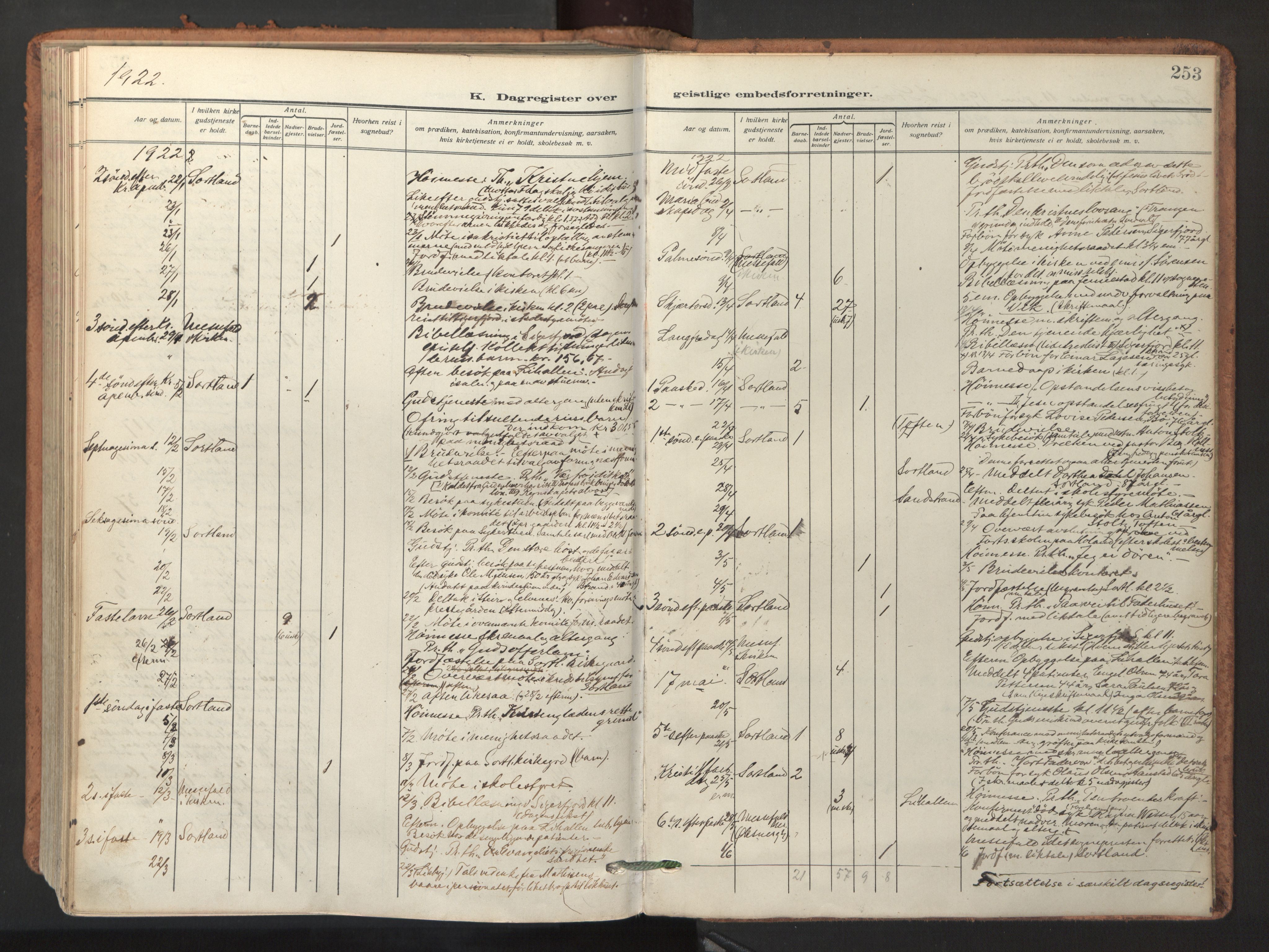 Ministerialprotokoller, klokkerbøker og fødselsregistre - Nordland, AV/SAT-A-1459/895/L1374: Ministerialbok nr. 895A09, 1915-1925, s. 253