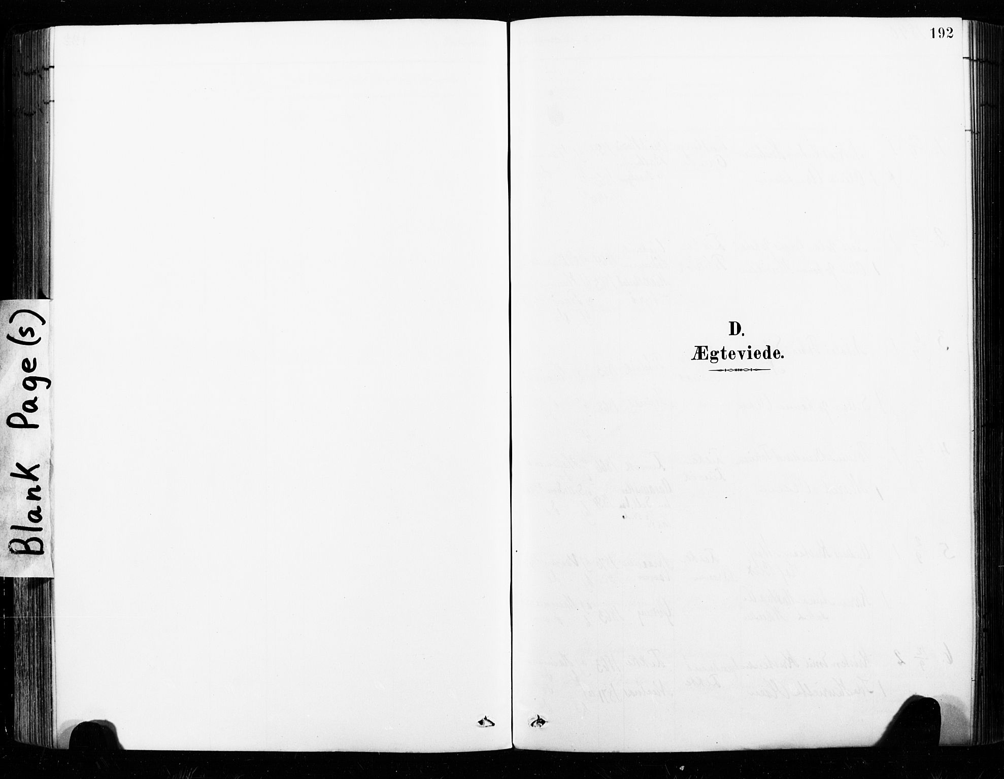 Ministerialprotokoller, klokkerbøker og fødselsregistre - Nordland, SAT/A-1459/859/L0847: Ministerialbok nr. 859A07, 1890-1899, s. 192