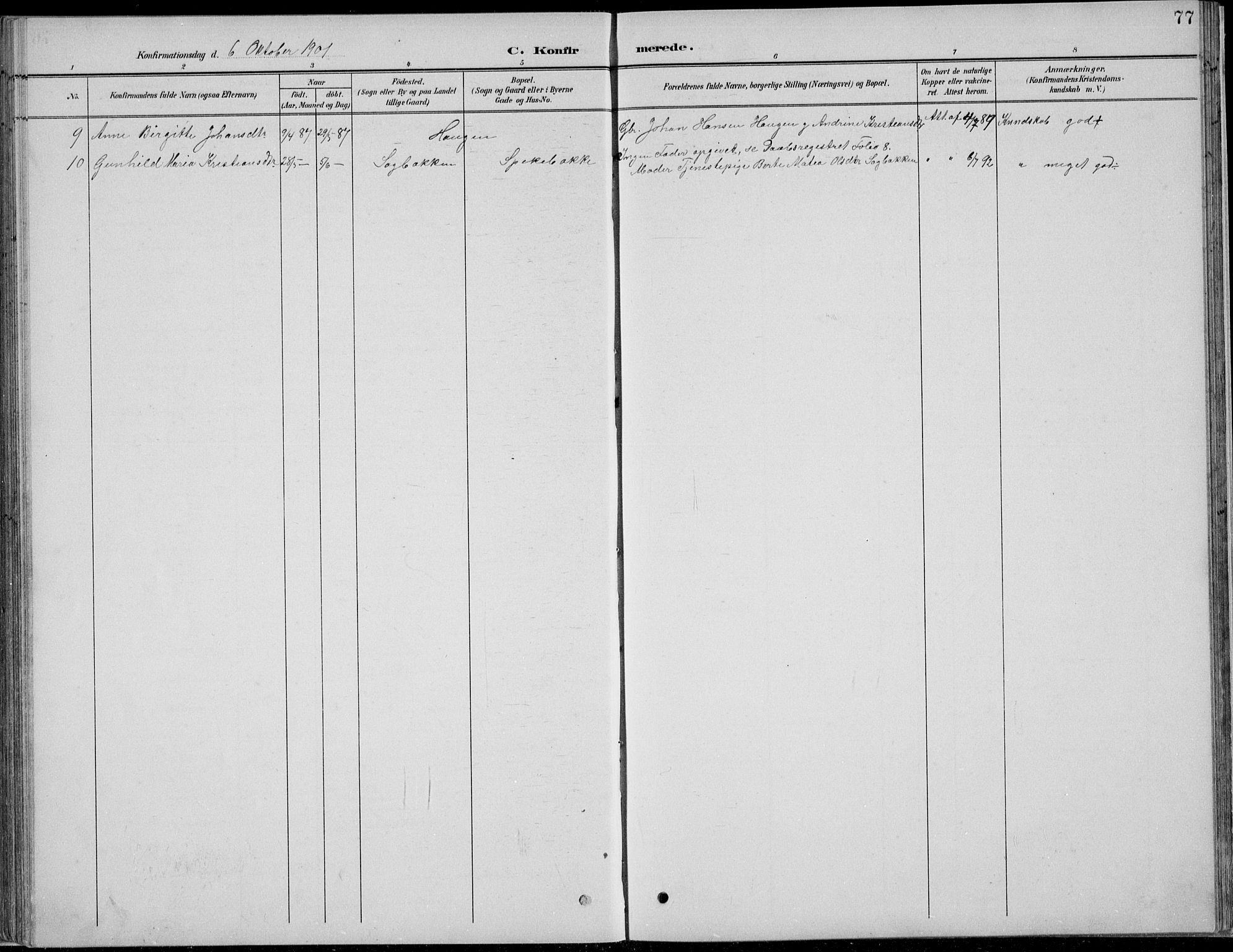 Nordre Land prestekontor, SAH/PREST-124/H/Ha/Hab/L0013: Klokkerbok nr. 13, 1891-1904, s. 77