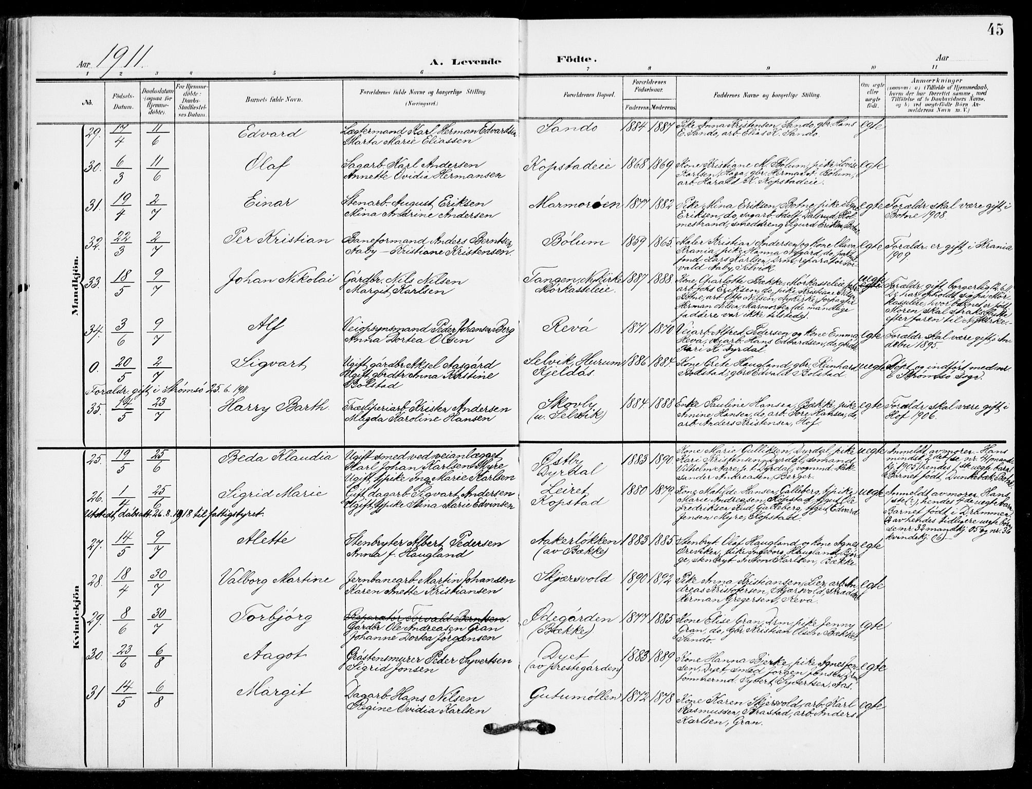 Sande Kirkebøker, AV/SAKO-A-53/F/Fa/L0008: Ministerialbok nr. 8, 1904-1921, s. 45