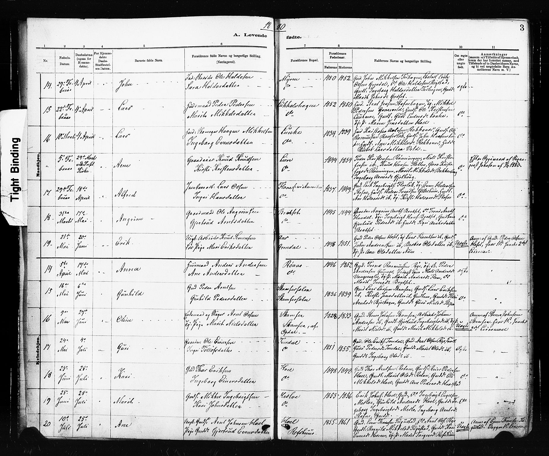 Ministerialprotokoller, klokkerbøker og fødselsregistre - Sør-Trøndelag, SAT/A-1456/674/L0871: Ministerialbok nr. 674A03, 1880-1896, s. 3