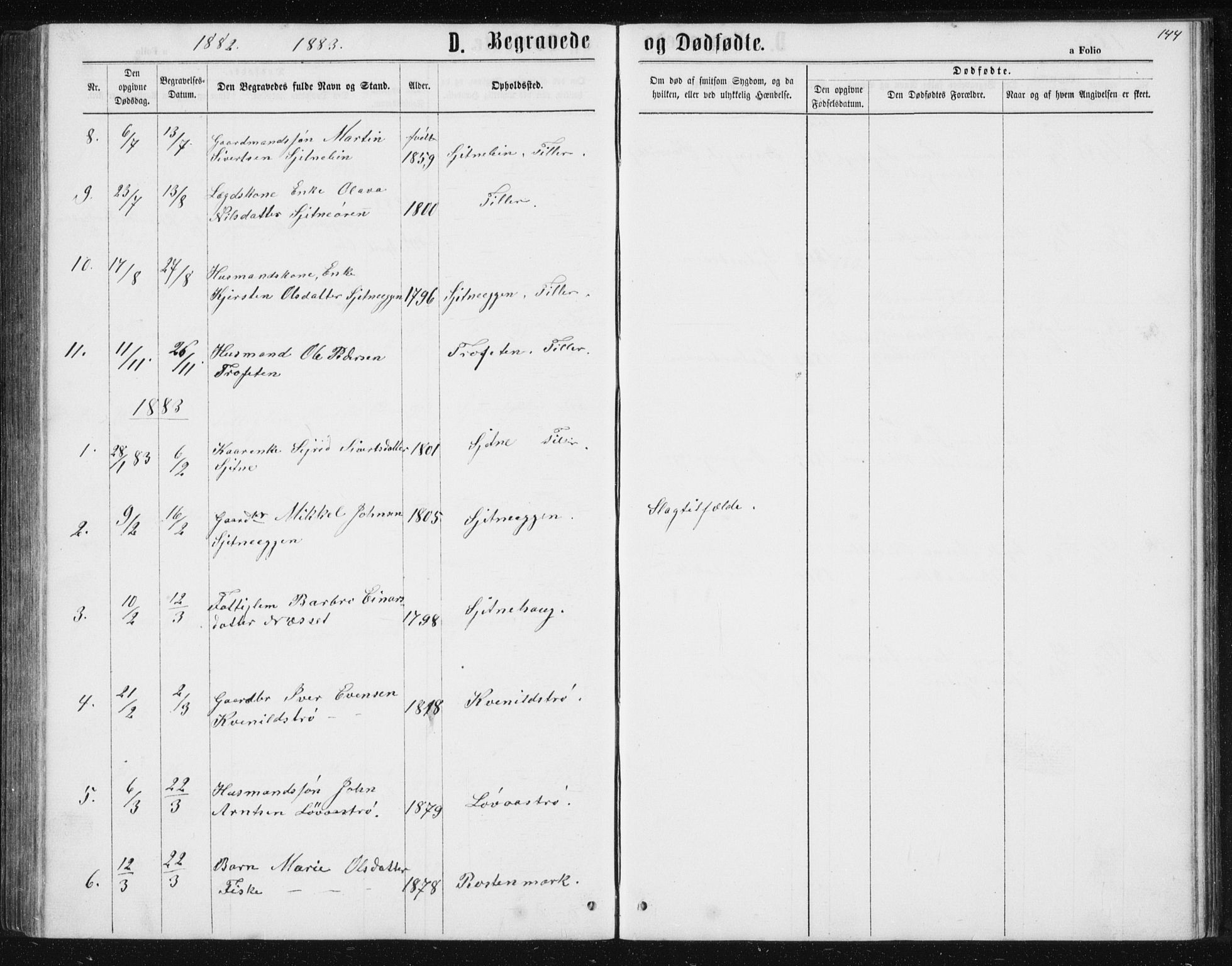 Ministerialprotokoller, klokkerbøker og fødselsregistre - Sør-Trøndelag, AV/SAT-A-1456/621/L0459: Klokkerbok nr. 621C02, 1866-1895, s. 144