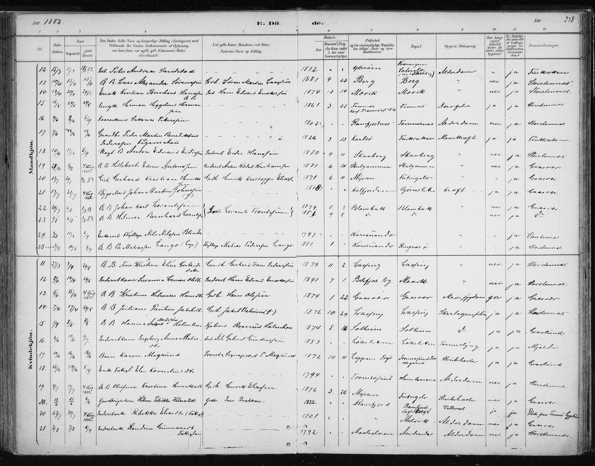 Tromsøysund sokneprestkontor, AV/SATØ-S-1304/G/Ga/L0004kirke: Ministerialbok nr. 4, 1880-1888, s. 238