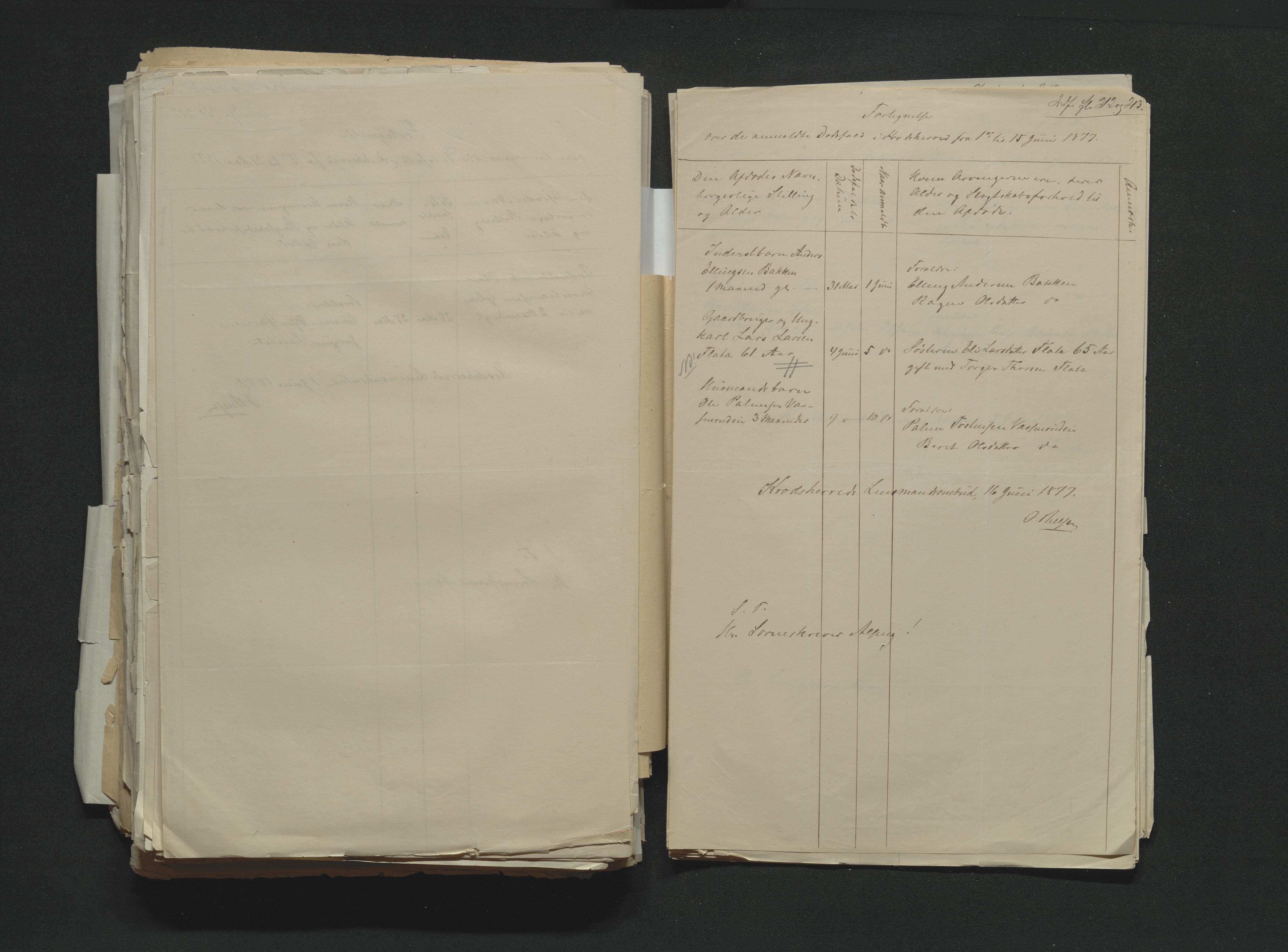 Eiker, Modum og Sigdal sorenskriveri, AV/SAKO-A-123/H/Ha/Hab/L0014: Dødsfallsmeldinger, 1874-1877, s. 740