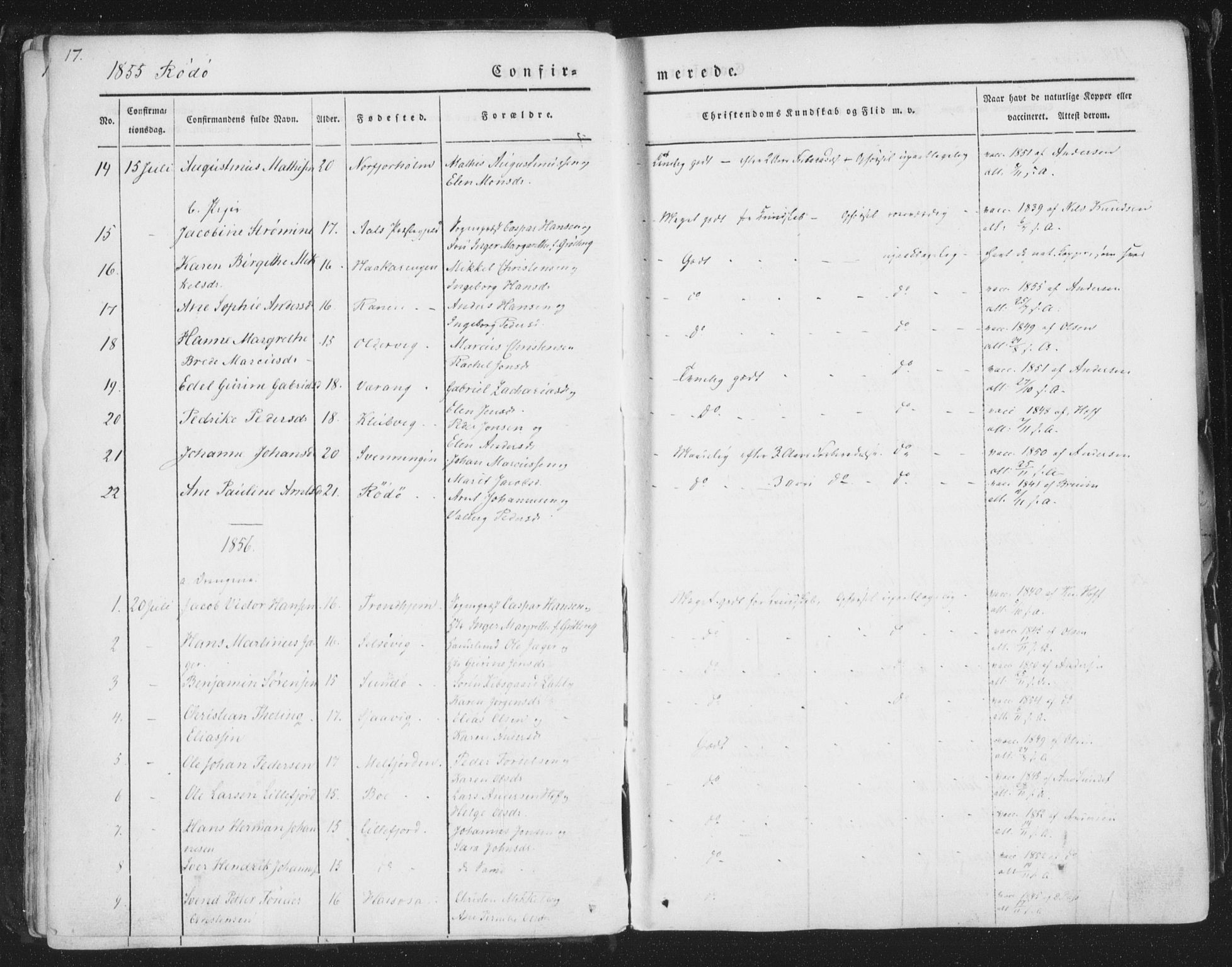 Ministerialprotokoller, klokkerbøker og fødselsregistre - Nordland, AV/SAT-A-1459/841/L0604: Ministerialbok nr. 841A09 /1, 1845-1862, s. 17