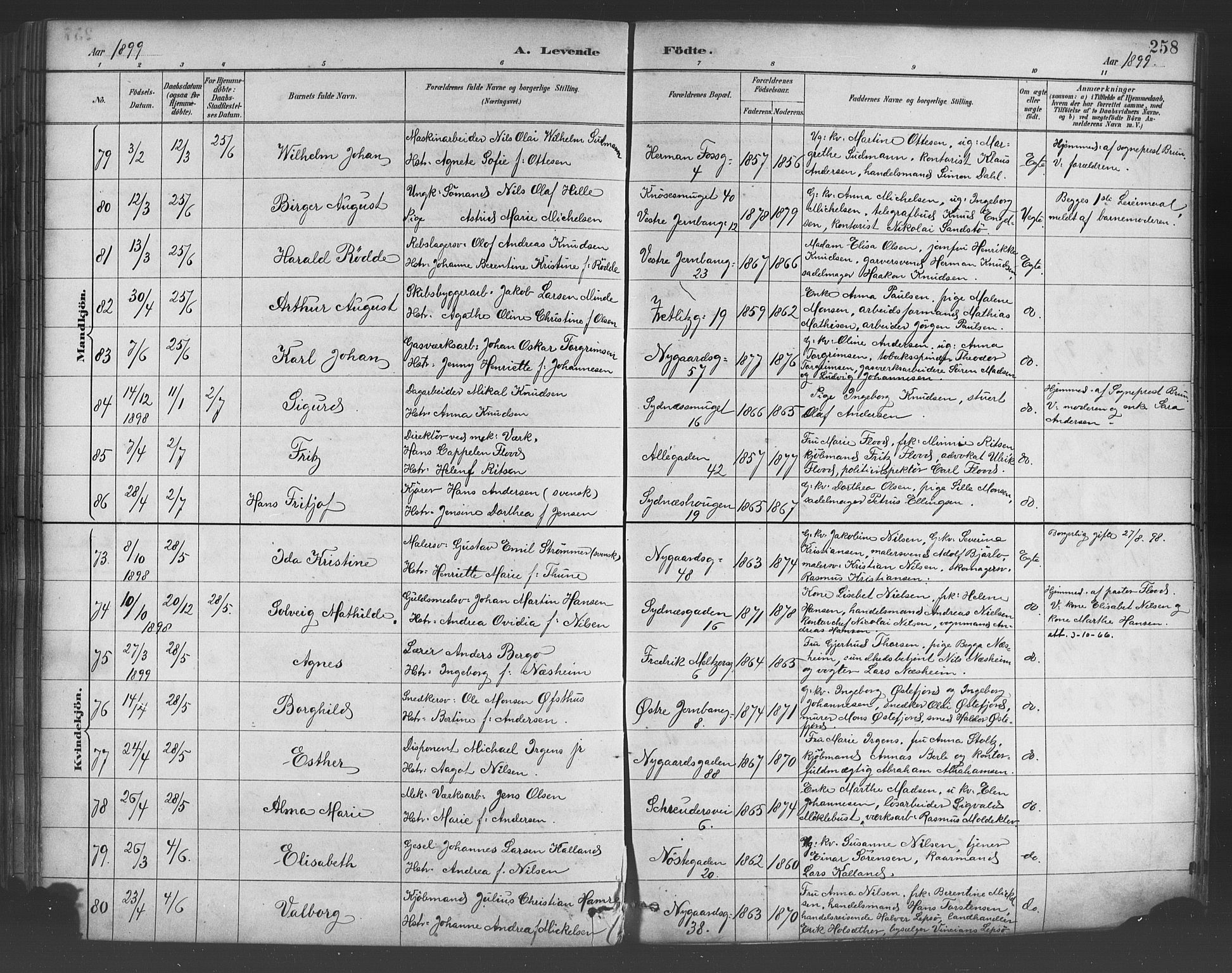 Johanneskirken sokneprestembete, AV/SAB-A-76001/H/Hab: Klokkerbok nr. A 1, 1885-1900, s. 258