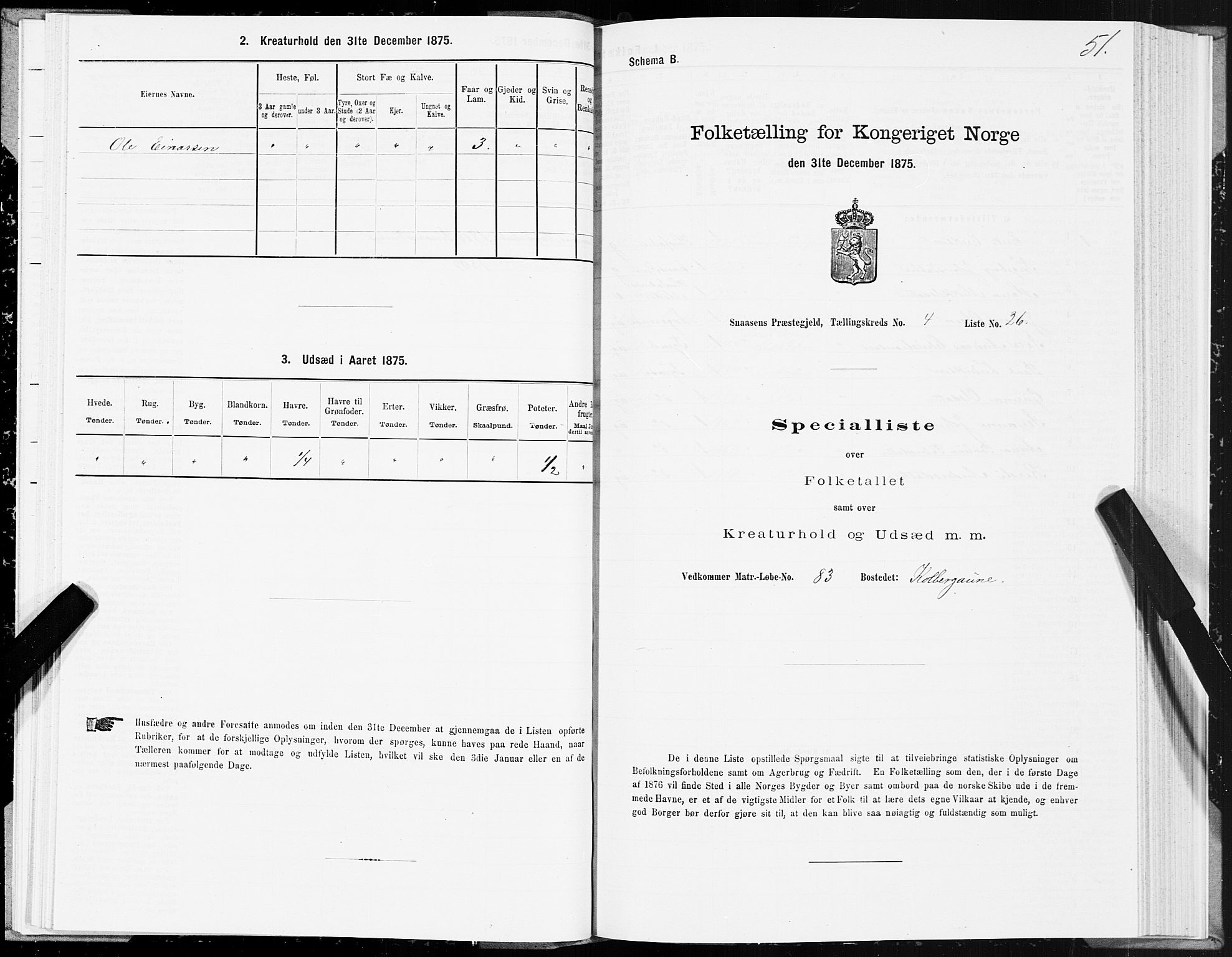 SAT, Folketelling 1875 for 1736P Snåsa prestegjeld, 1875, s. 2051