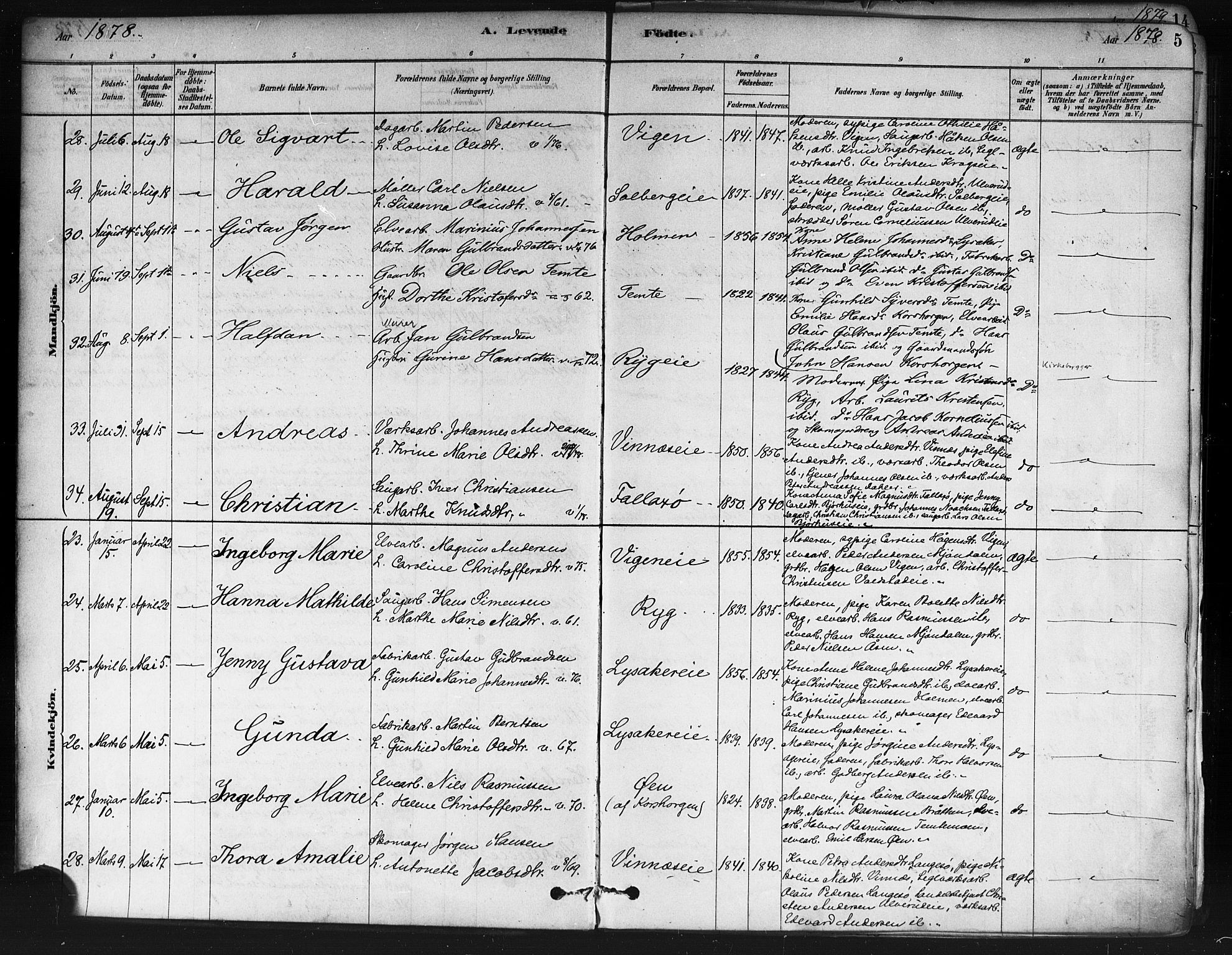 Nedre Eiker kirkebøker, AV/SAKO-A-612/F/Fa/L0002: Ministerialbok nr. 2, 1878-1885, s. 5