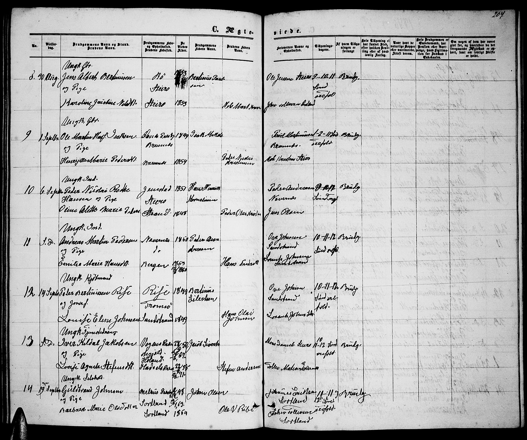 Ministerialprotokoller, klokkerbøker og fødselsregistre - Nordland, AV/SAT-A-1459/895/L1381: Klokkerbok nr. 895C03, 1864-1885, s. 204