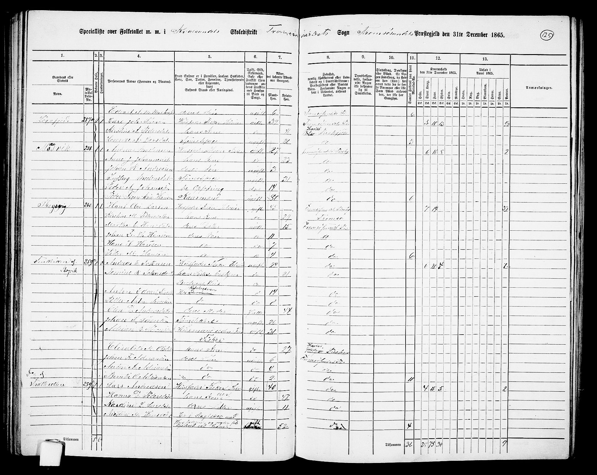 RA, Folketelling 1865 for 1934P Tromsøysund prestegjeld, 1865, s. 103