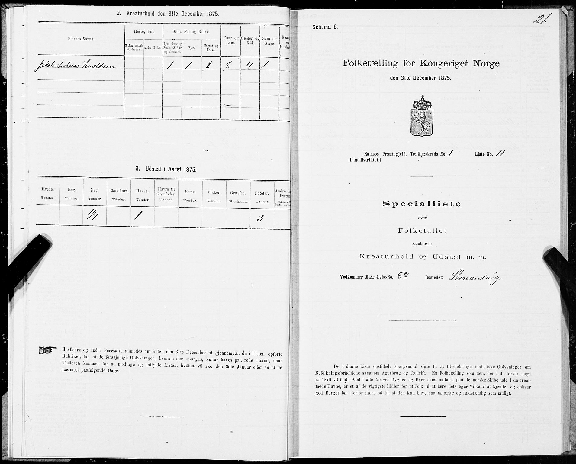 SAT, Folketelling 1875 for 1745L Namsos prestegjeld, Vemundvik sokn og Sævik sokn, 1875, s. 1021