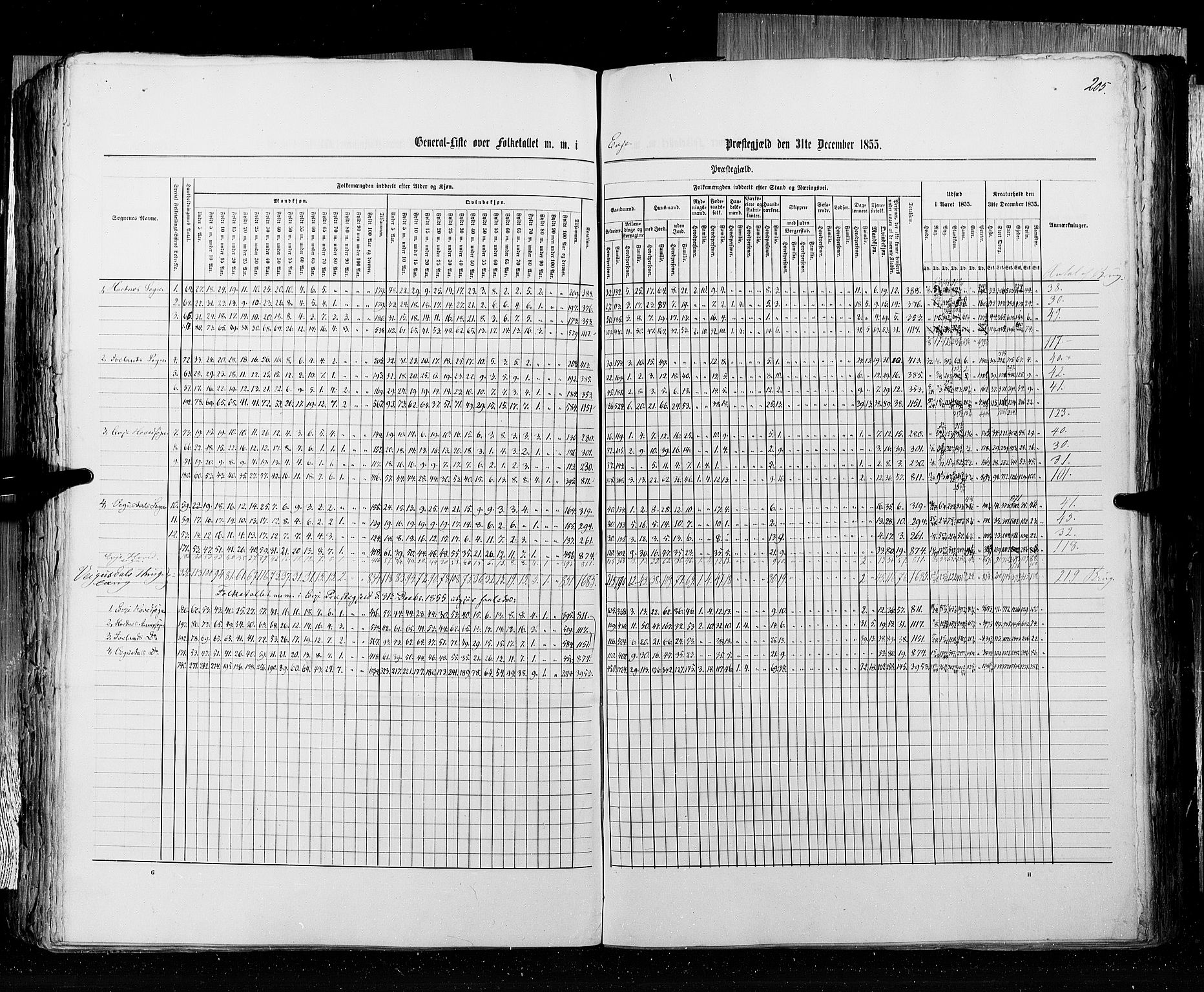 RA, Folketellingen 1855, bind 3: Bratsberg amt, Nedenes amt og Lister og Mandal amt, 1855, s. 205