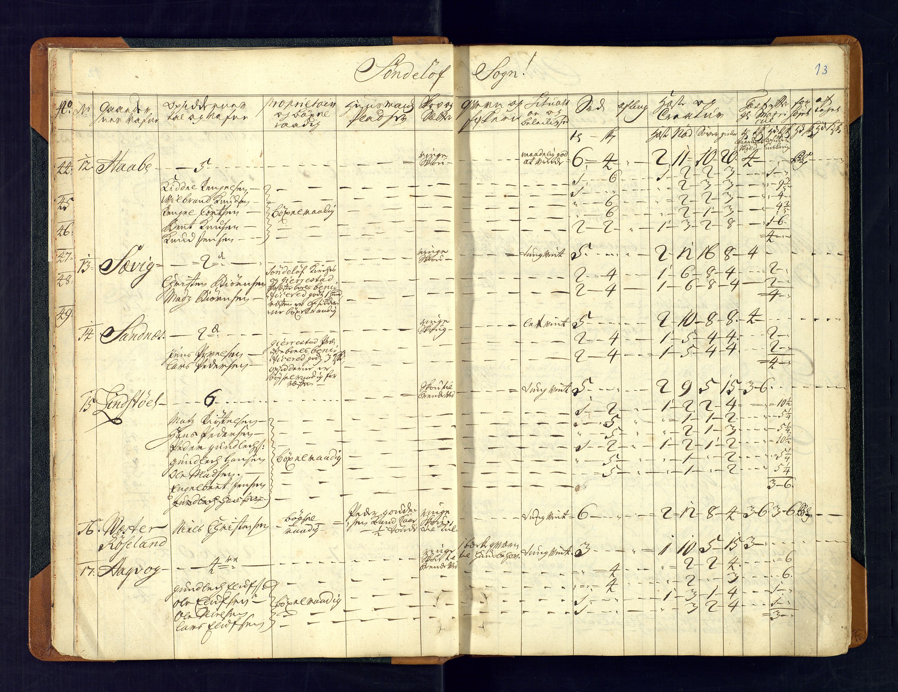 Nedenes fogderi, AV/SAK-1242-0006/Hb/L0481: Matrikkel, eksaminasjonsprotokoll, 1723, s. 12b-13a