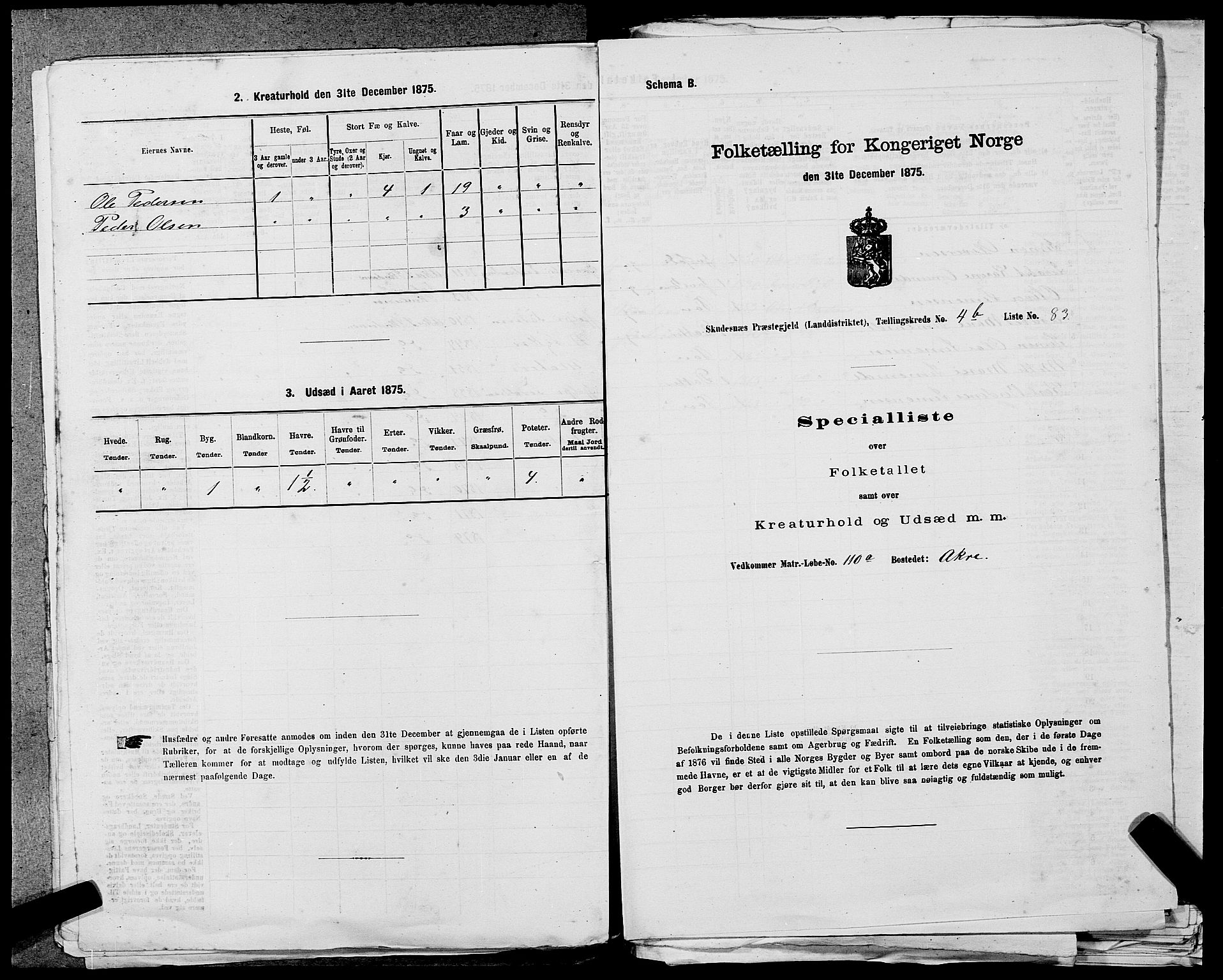 SAST, Folketelling 1875 for 1150L Skudenes prestegjeld, Falnes sokn, Åkra sokn og Ferkingstad sokn, 1875, s. 564