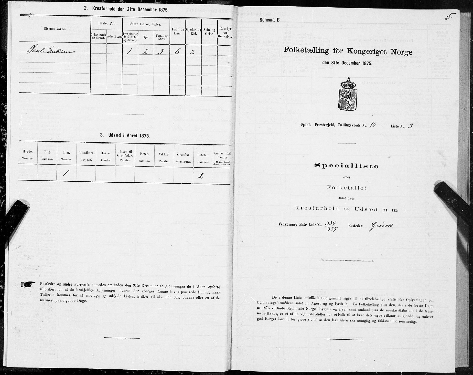 SAT, Folketelling 1875 for 1634P Oppdal prestegjeld, 1875, s. 7005