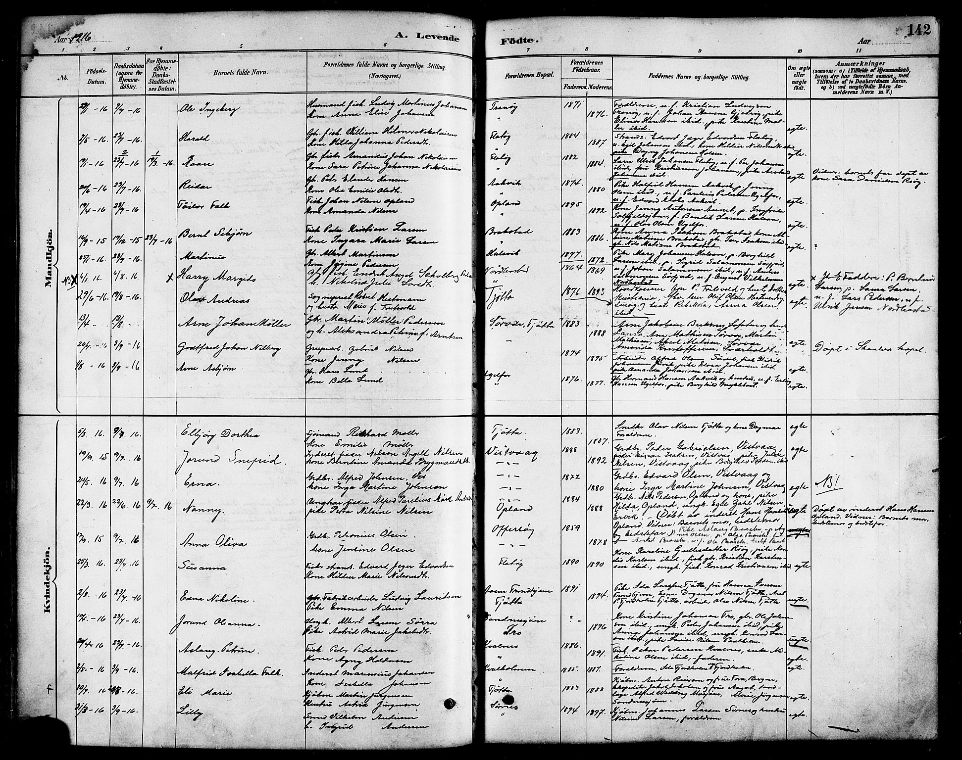 Ministerialprotokoller, klokkerbøker og fødselsregistre - Nordland, SAT/A-1459/817/L0268: Klokkerbok nr. 817C03, 1884-1920, s. 142