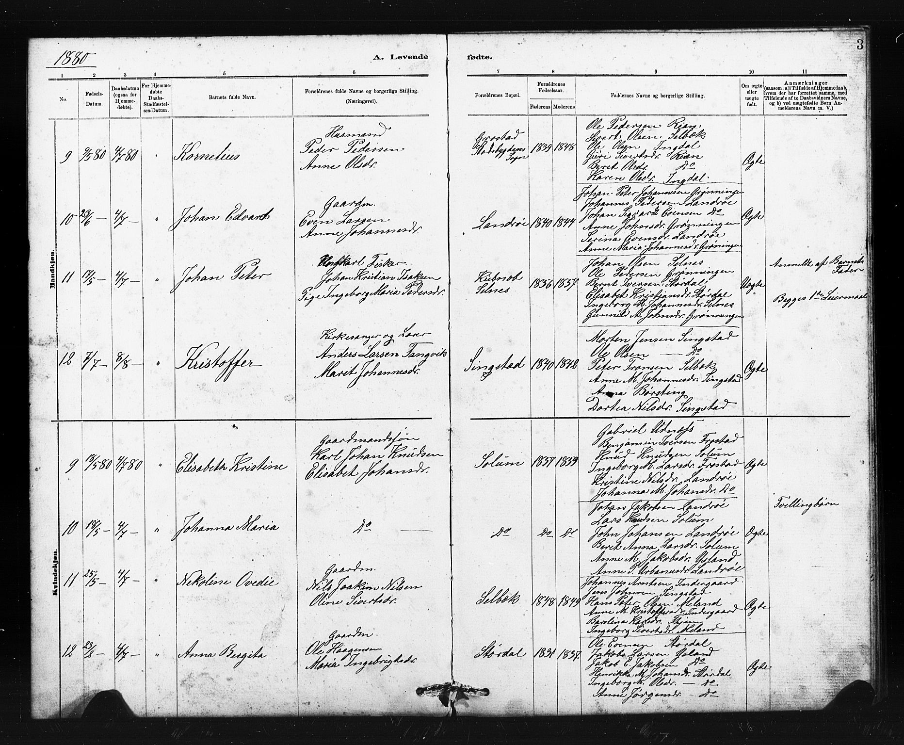 Ministerialprotokoller, klokkerbøker og fødselsregistre - Sør-Trøndelag, AV/SAT-A-1456/663/L0761: Klokkerbok nr. 663C01, 1880-1893, s. 3