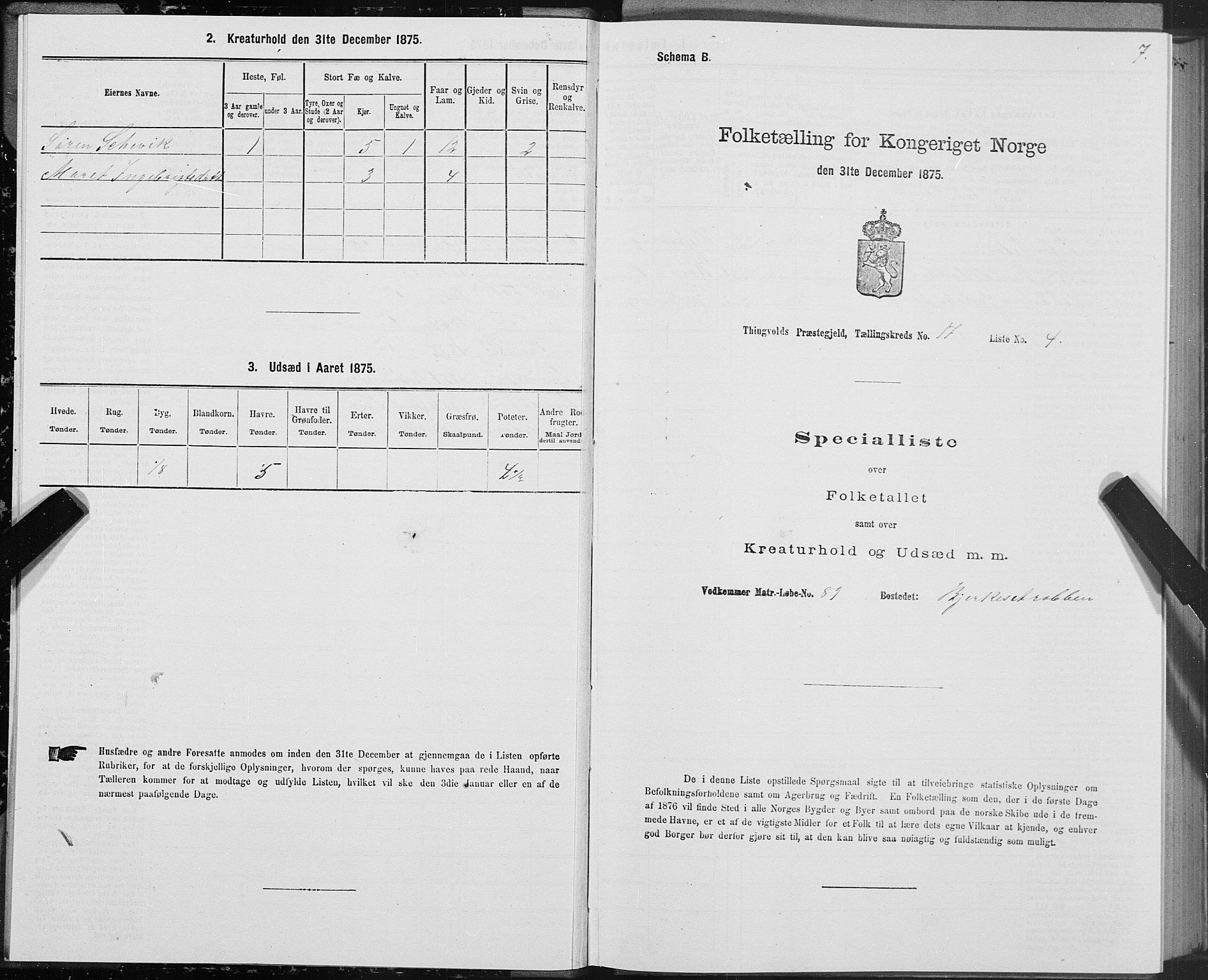 SAT, Folketelling 1875 for 1560P Tingvoll prestegjeld, 1875, s. 7007