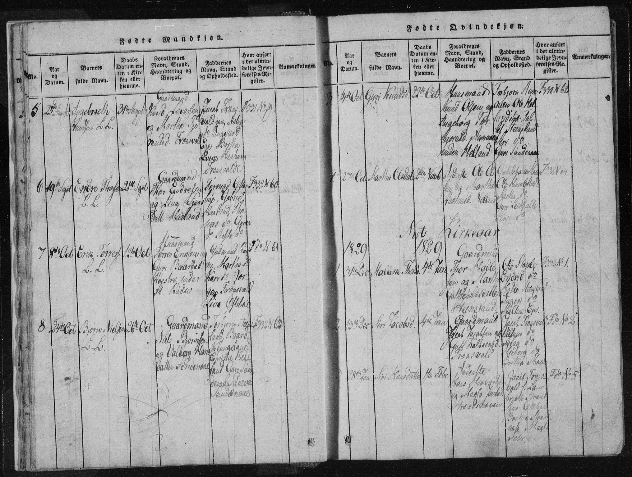 Vikedal sokneprestkontor, AV/SAST-A-101840/01/IV: Ministerialbok nr. A 4, 1816-1850, s. 19