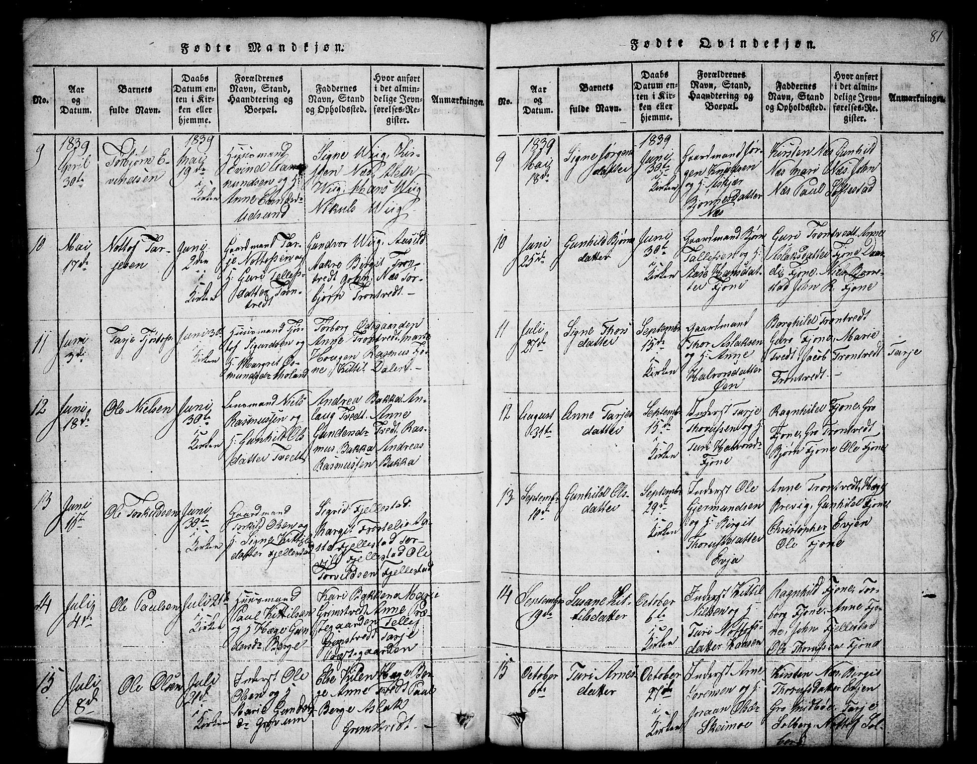 Nissedal kirkebøker, SAKO/A-288/G/Ga/L0001: Klokkerbok nr. I 1, 1814-1860, s. 81