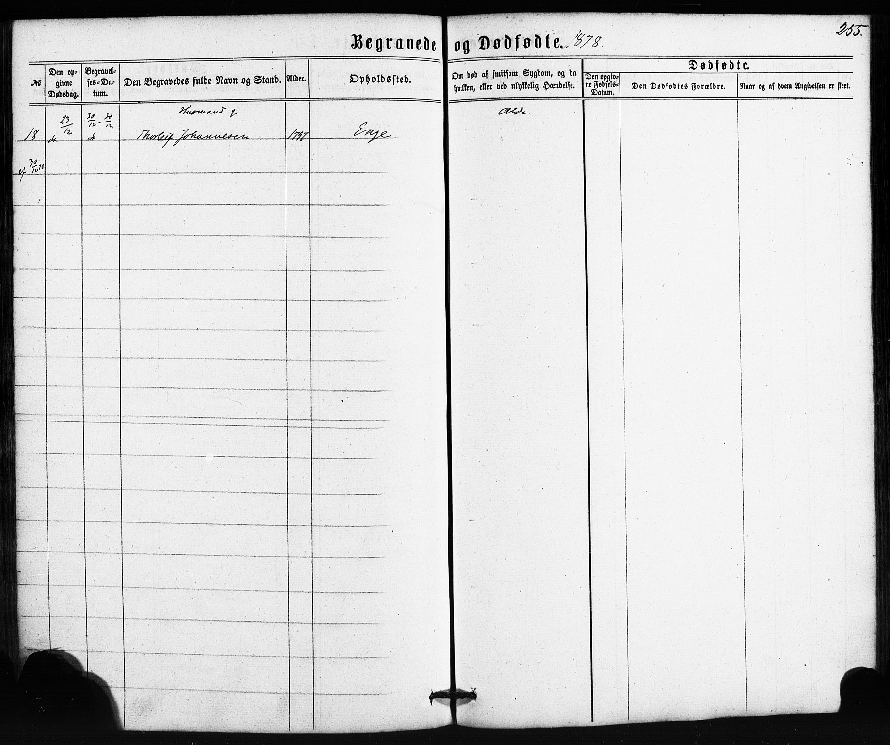 Etne sokneprestembete, AV/SAB-A-75001/H/Haa: Ministerialbok nr. A 9, 1862-1878, s. 255