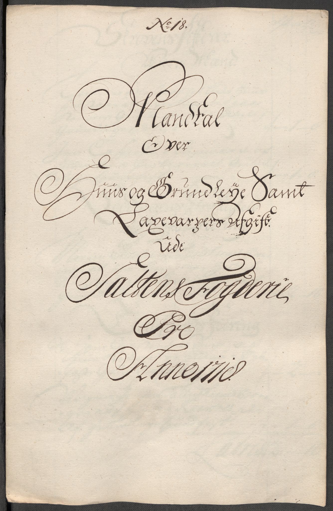 Rentekammeret inntil 1814, Reviderte regnskaper, Fogderegnskap, RA/EA-4092/R66/L4588: Fogderegnskap Salten, 1718, s. 262