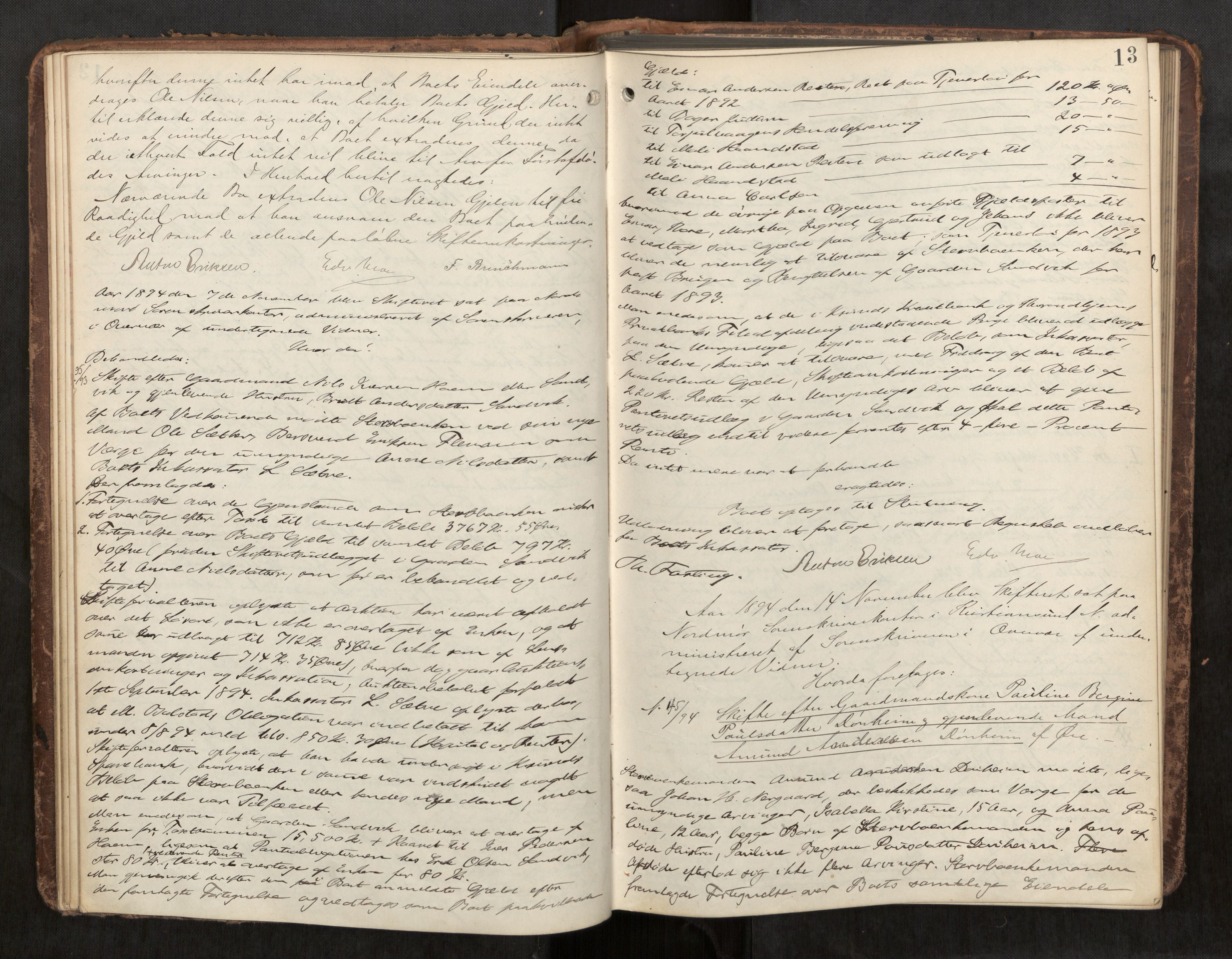 Nordmøre sorenskriveri, AV/SAT-A-4132/1/3/3B/L0006: Forhandlingsprotokoll nr. 06, 1894-1900, s. 13