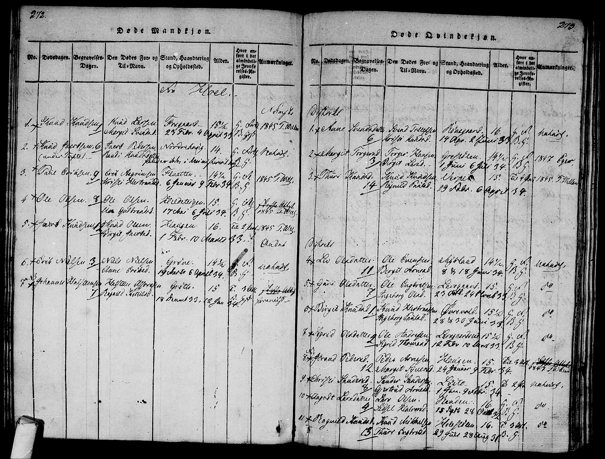 Ål kirkebøker, AV/SAKO-A-249/F/Fa/L0004: Ministerialbok nr. I 4, 1815-1825, s. 272-273
