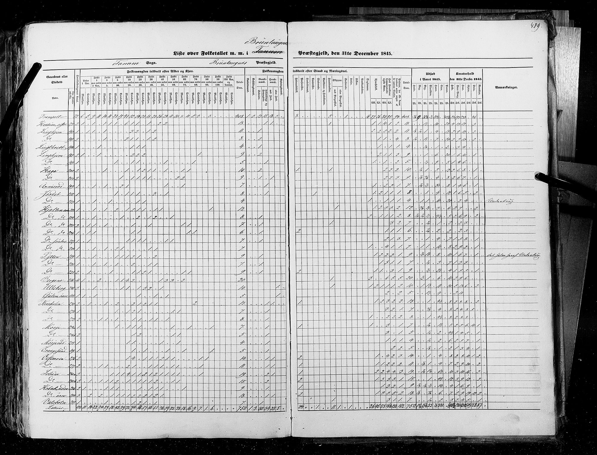 RA, Folketellingen 1845, bind 4: Buskerud amt og Jarlsberg og Larvik amt, 1845, s. 489