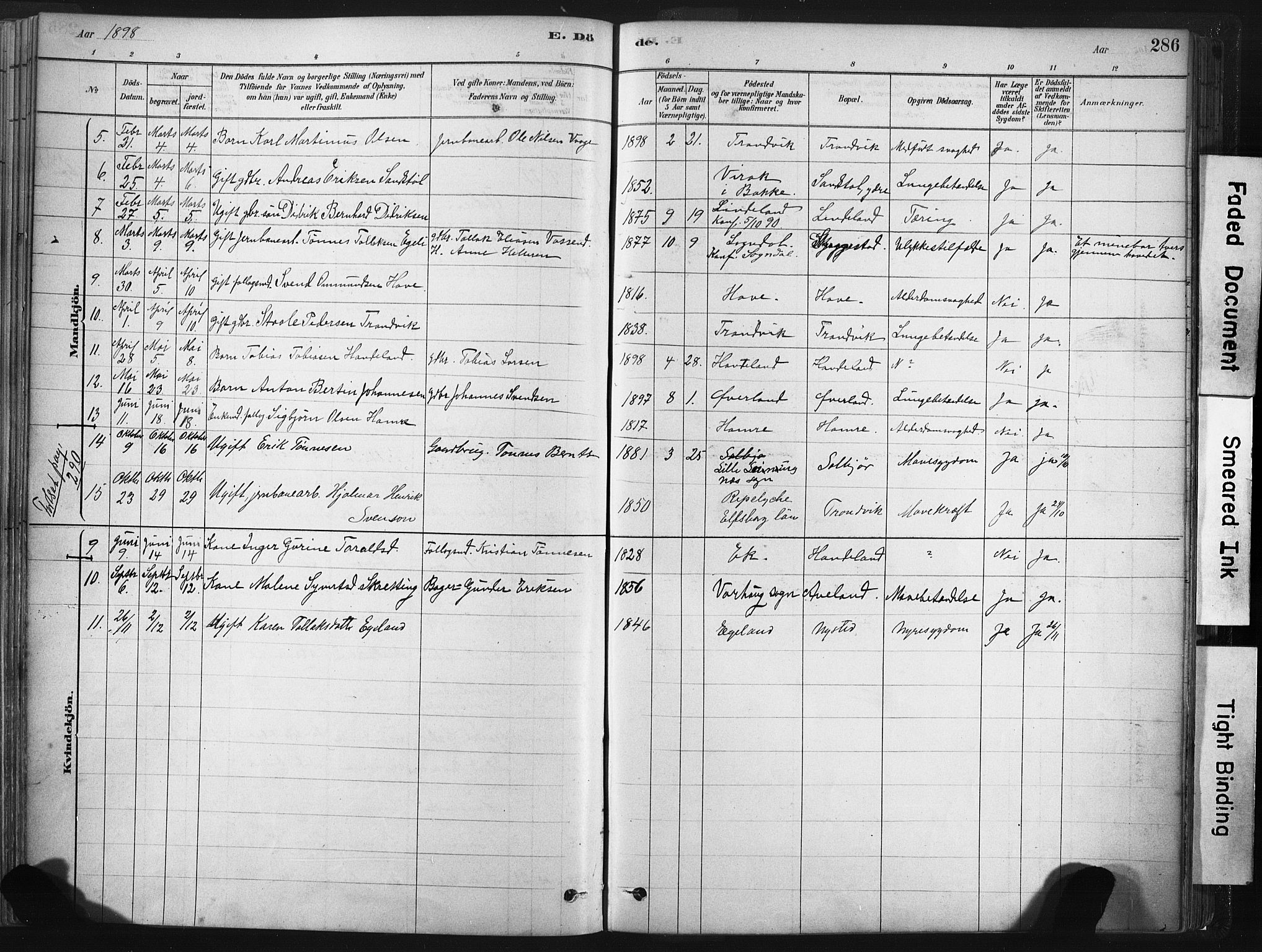 Lund sokneprestkontor, AV/SAST-A-101809/S06/L0011: Ministerialbok nr. A 10, 1877-1904, s. 286