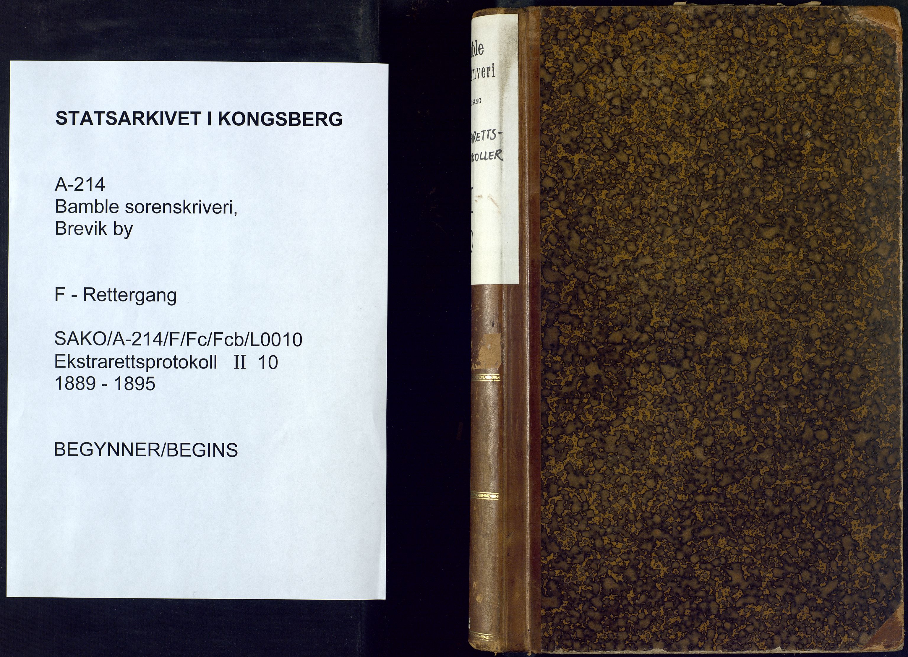 Bamble sorenskriveri, SAKO/A-214/F/Fc/Fcb/L0010: Ekstrarettprotokoll, 1889-1895