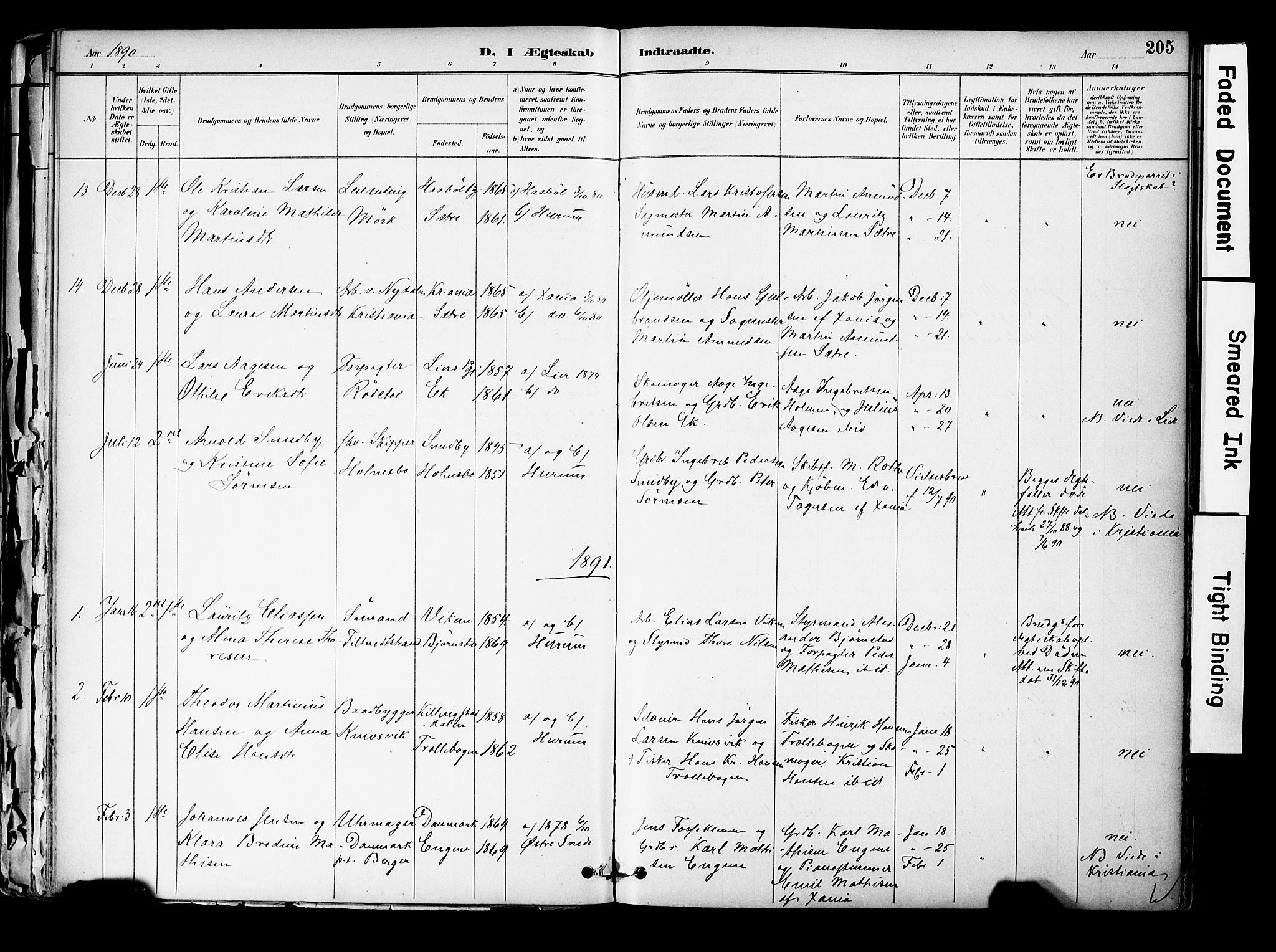 Hurum kirkebøker, AV/SAKO-A-229/F/Fa/L0014: Ministerialbok nr. 14, 1882-1895, s. 205