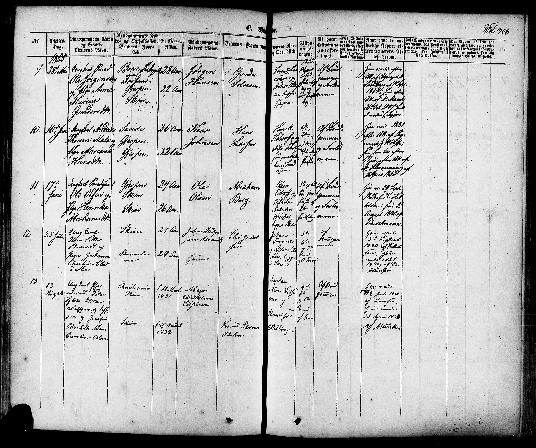 Skien kirkebøker, AV/SAKO-A-302/F/Fa/L0006a: Ministerialbok nr. 6A, 1843-1856, s. 306