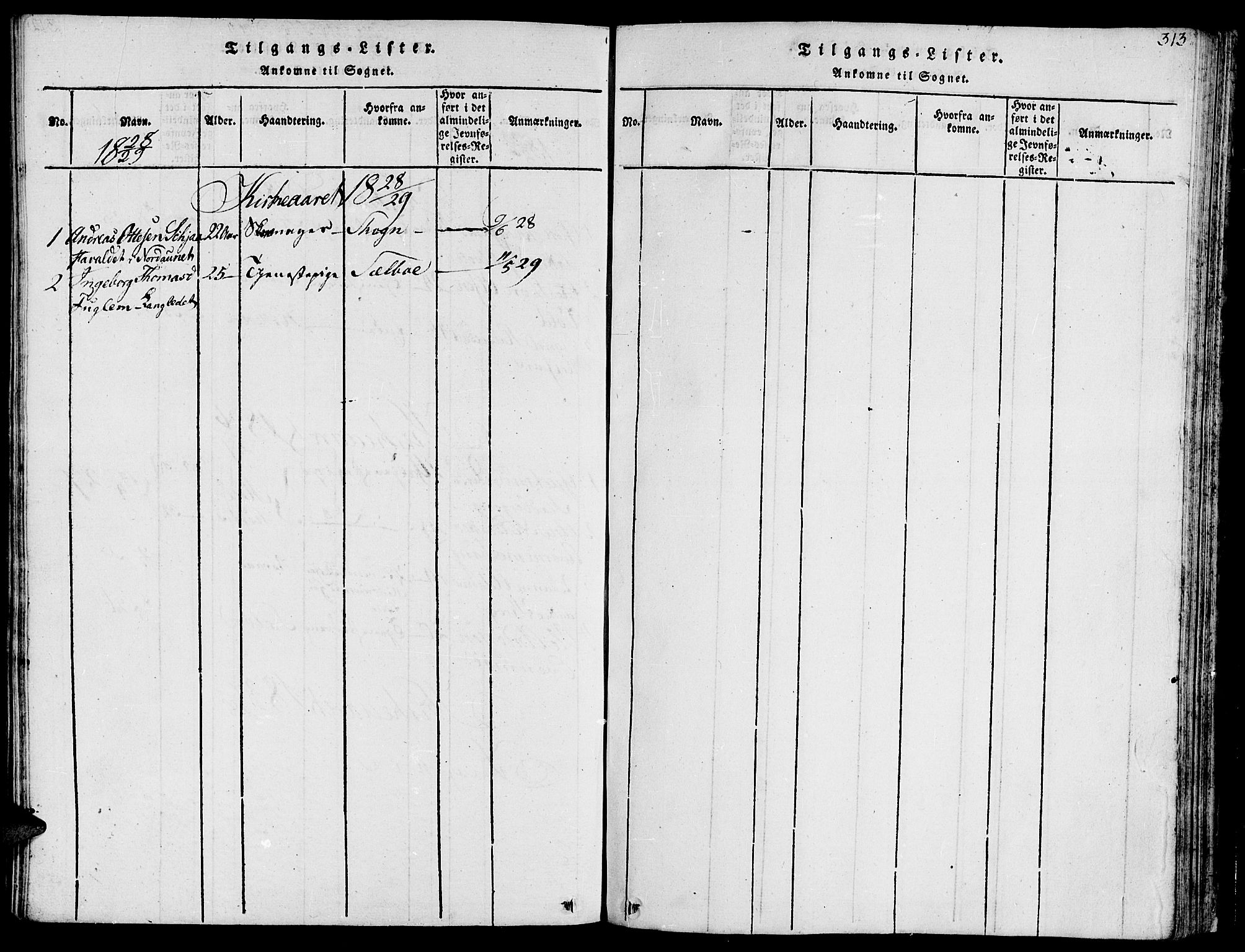 Ministerialprotokoller, klokkerbøker og fødselsregistre - Sør-Trøndelag, AV/SAT-A-1456/685/L0954: Ministerialbok nr. 685A03 /1, 1817-1829, s. 313