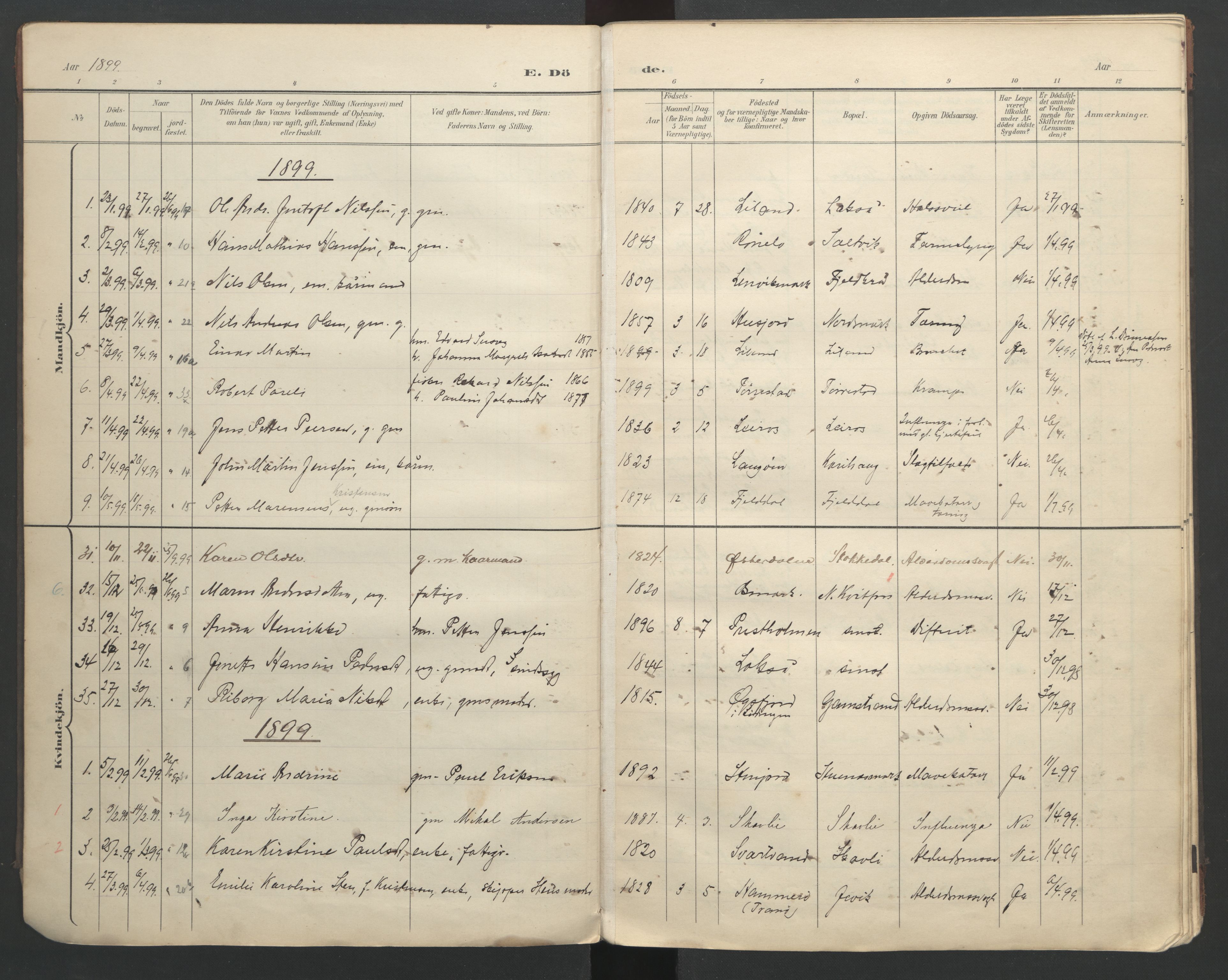 Ministerialprotokoller, klokkerbøker og fødselsregistre - Nordland, AV/SAT-A-1459/863/L0917: Klokkerbok nr. 863C07, 1898-1907