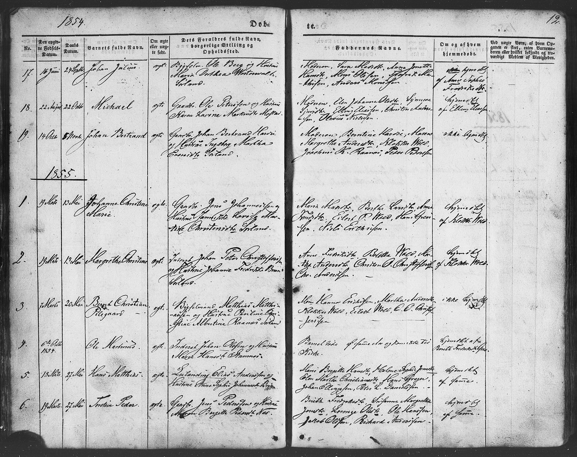 Ministerialprotokoller, klokkerbøker og fødselsregistre - Nordland, AV/SAT-A-1459/807/L0121: Ministerialbok nr. 807A04, 1846-1879, s. 12