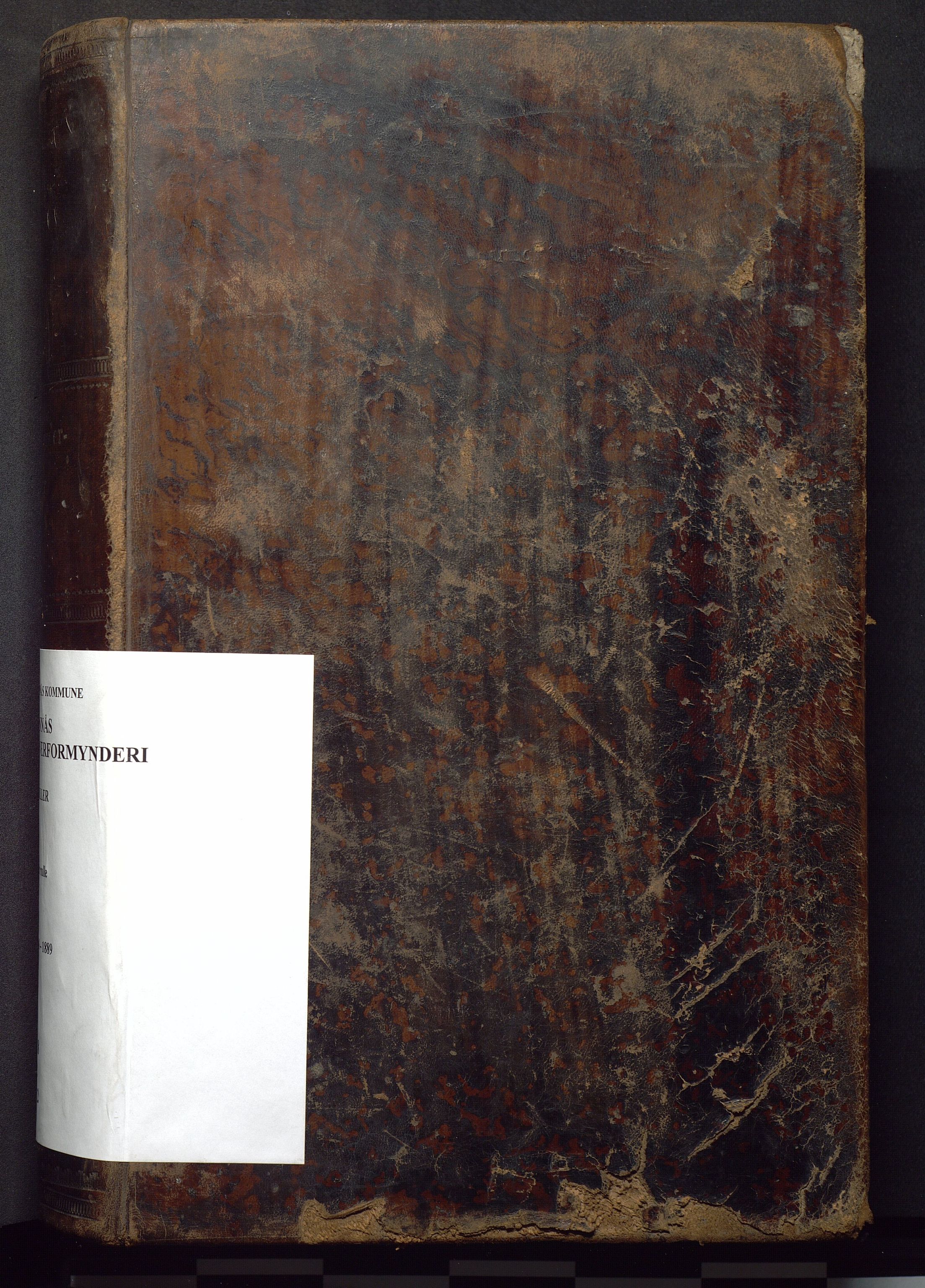 Finnaas kommune. Overformynderiet, IKAH/1218a-812/F/Fa/Faa/L0002: Stor rulle for Finnås overformynderi, 1860-1889