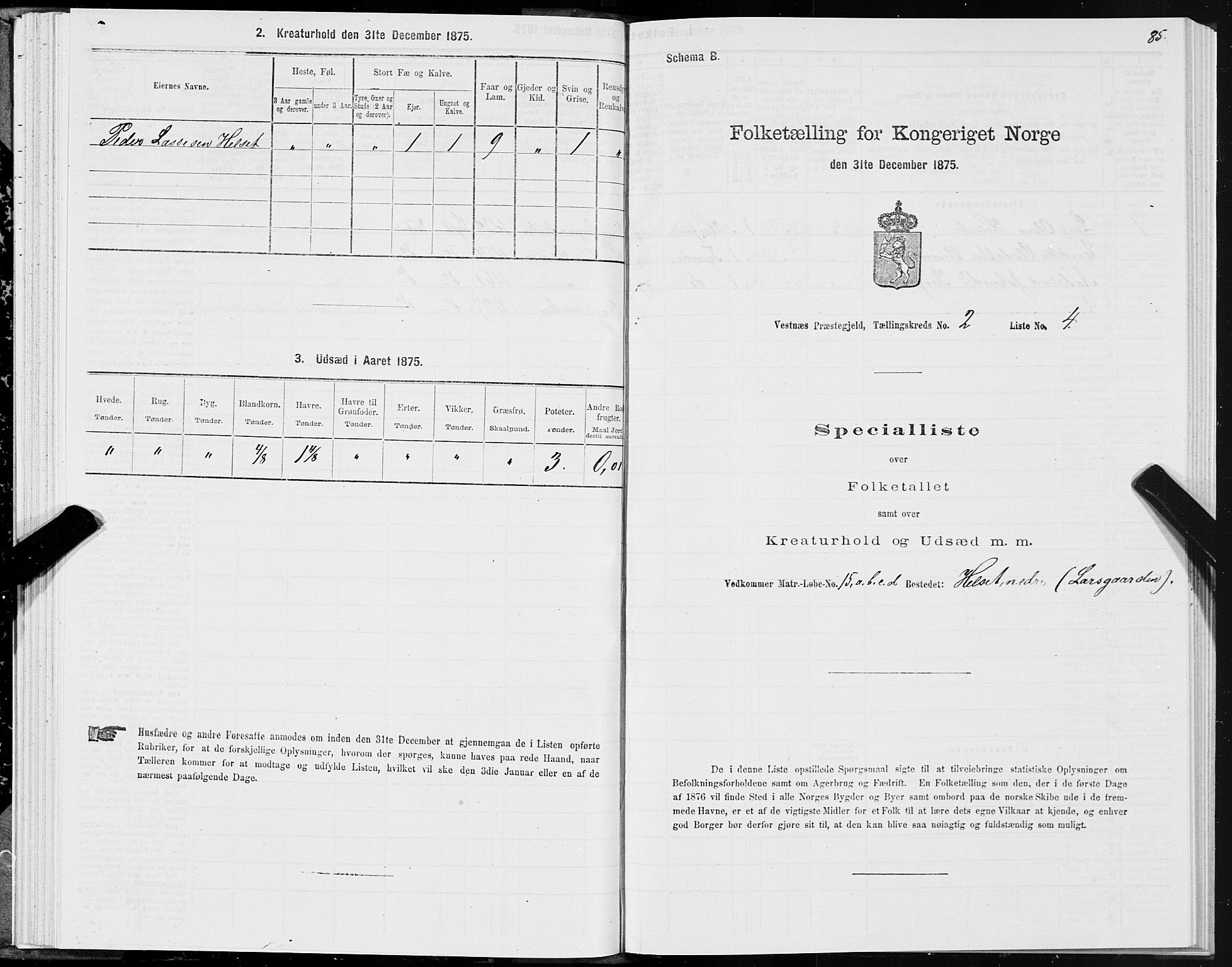 SAT, Folketelling 1875 for 1535P Vestnes prestegjeld, 1875, s. 1085