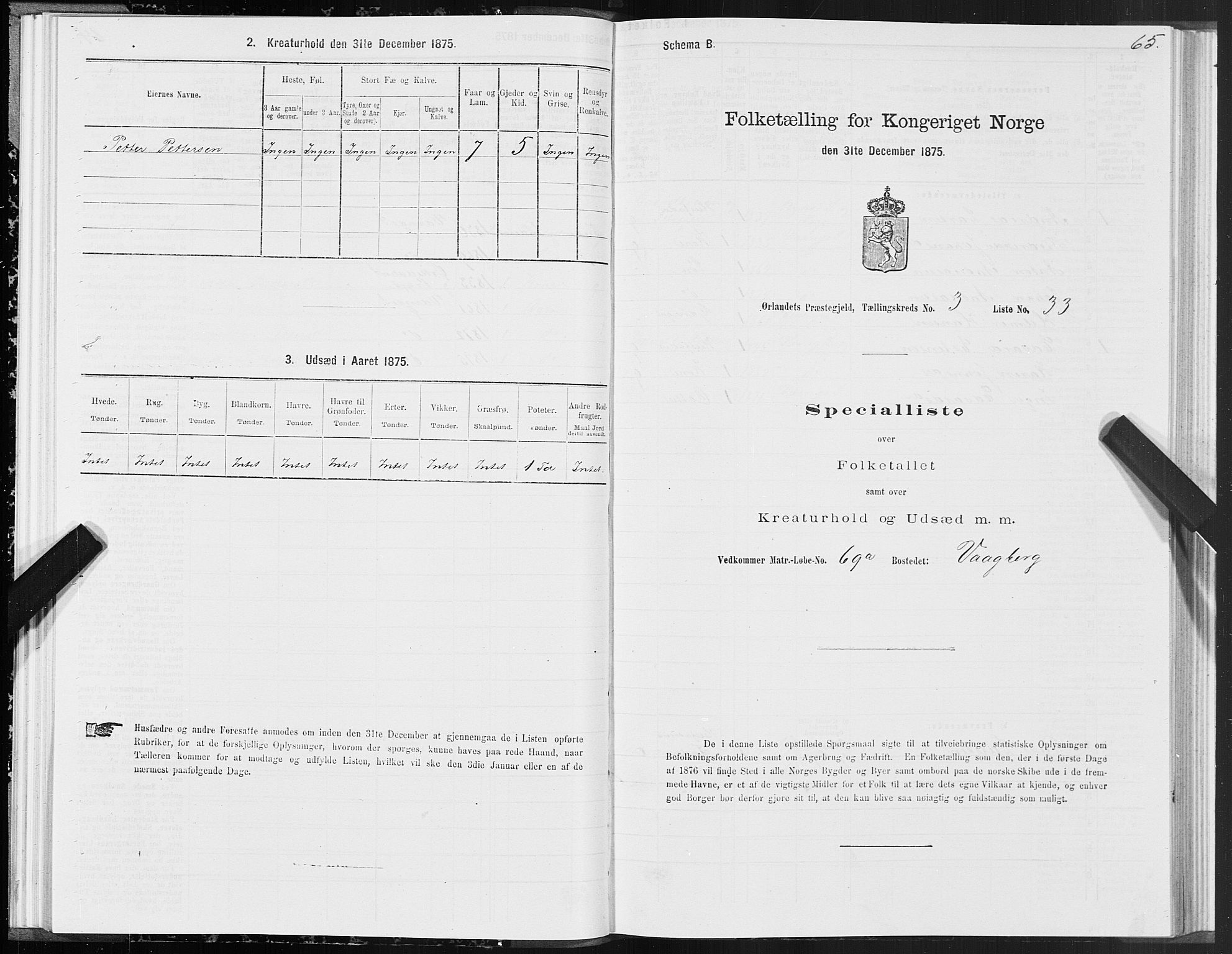 SAT, Folketelling 1875 for 1621P Ørland prestegjeld, 1875, s. 2065