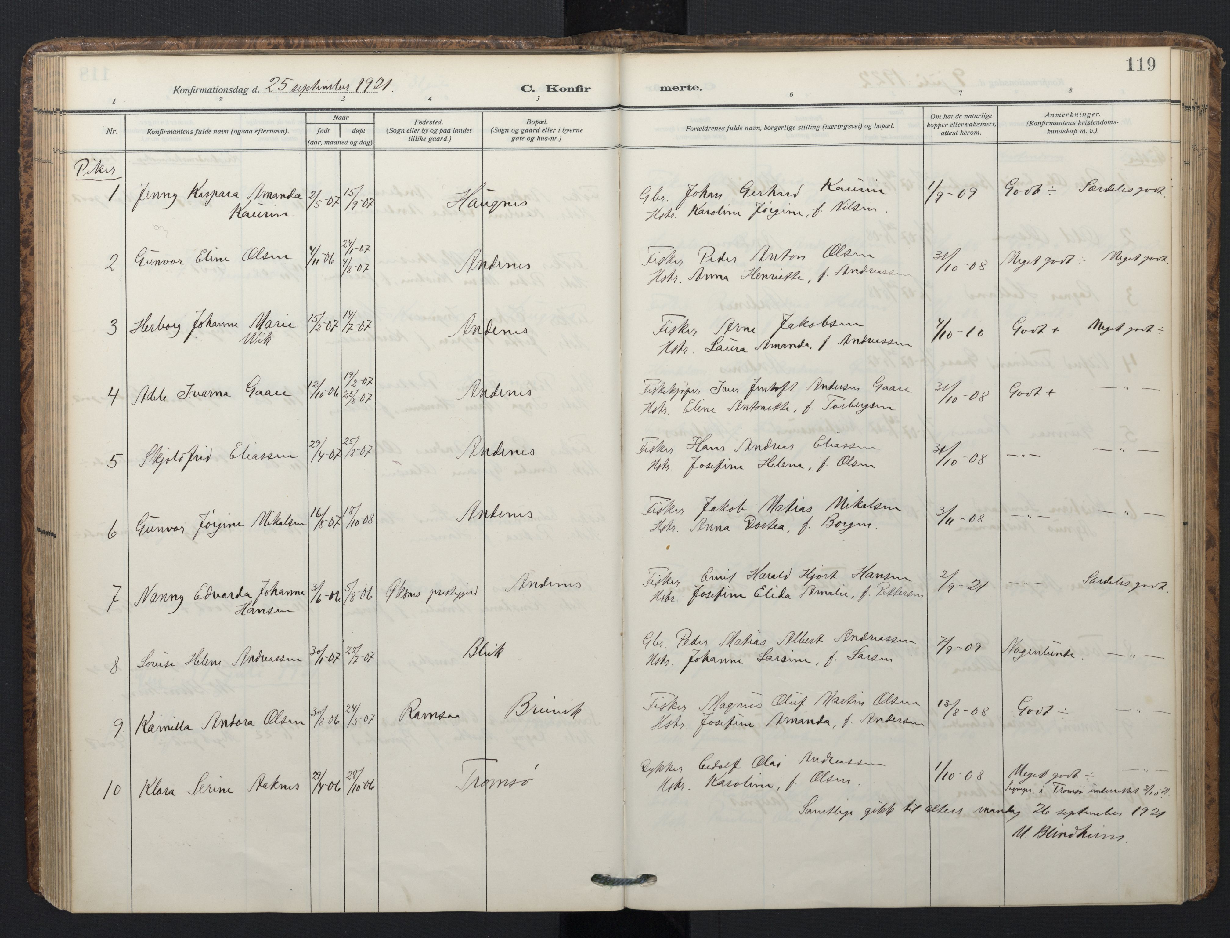 Ministerialprotokoller, klokkerbøker og fødselsregistre - Nordland, AV/SAT-A-1459/899/L1438: Ministerialbok nr. 899A06, 1909-1922, s. 119