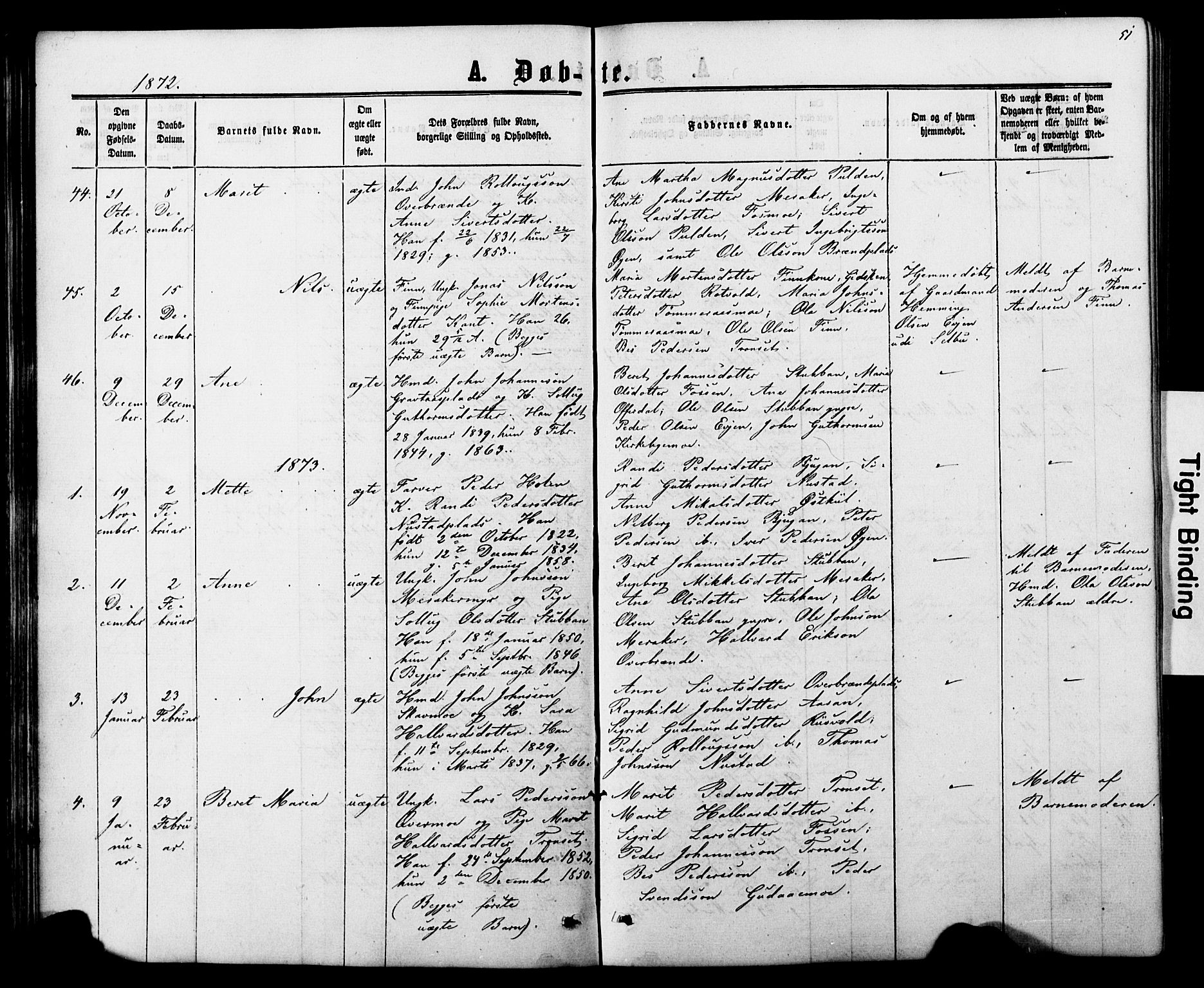 Ministerialprotokoller, klokkerbøker og fødselsregistre - Nord-Trøndelag, AV/SAT-A-1458/706/L0049: Klokkerbok nr. 706C01, 1864-1895, s. 51