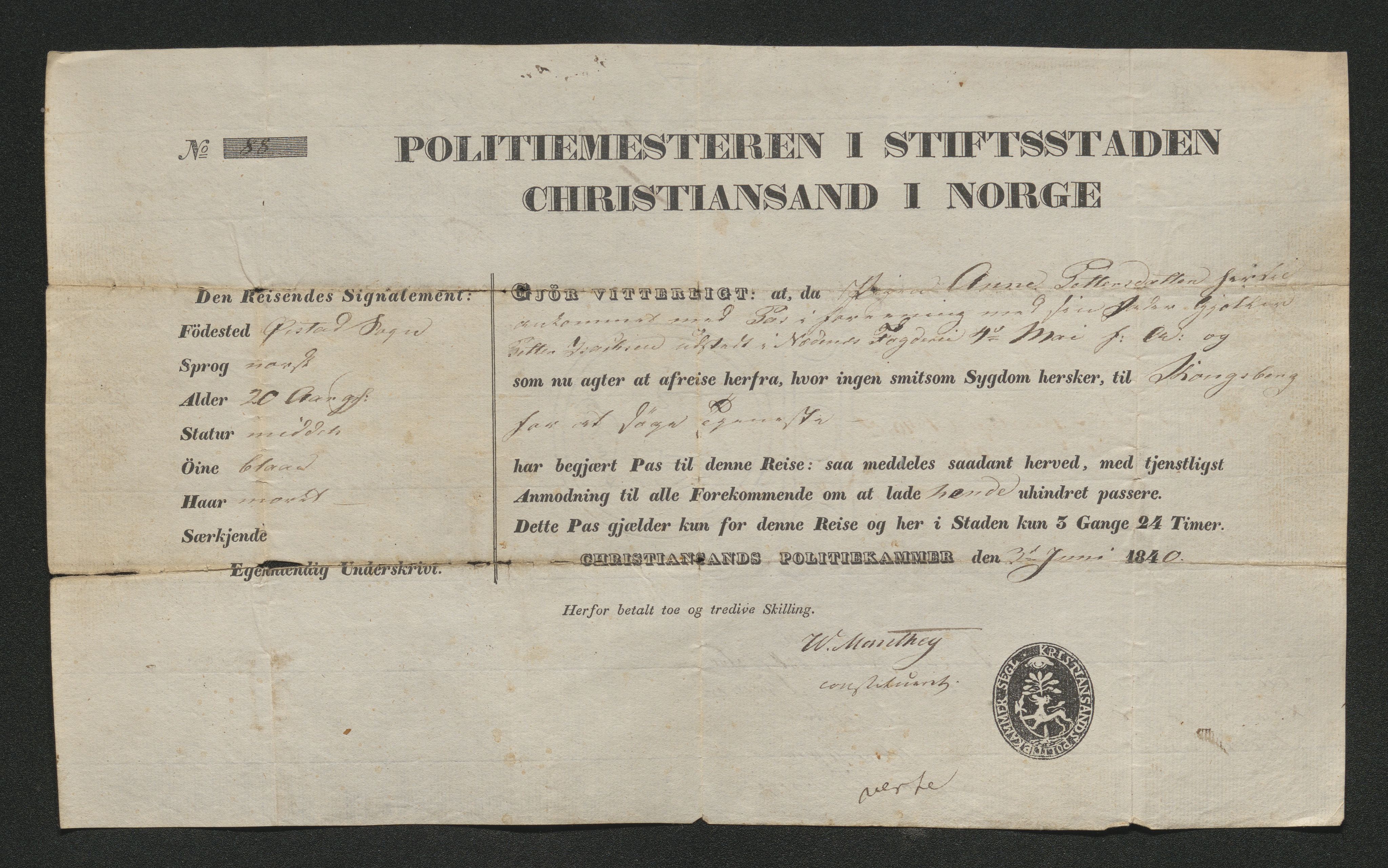 Drammen politikammer, AV/SAKO-A-623/I/Ia/Iab/L0006: Innleverte pass, 1841-1842, s. 196