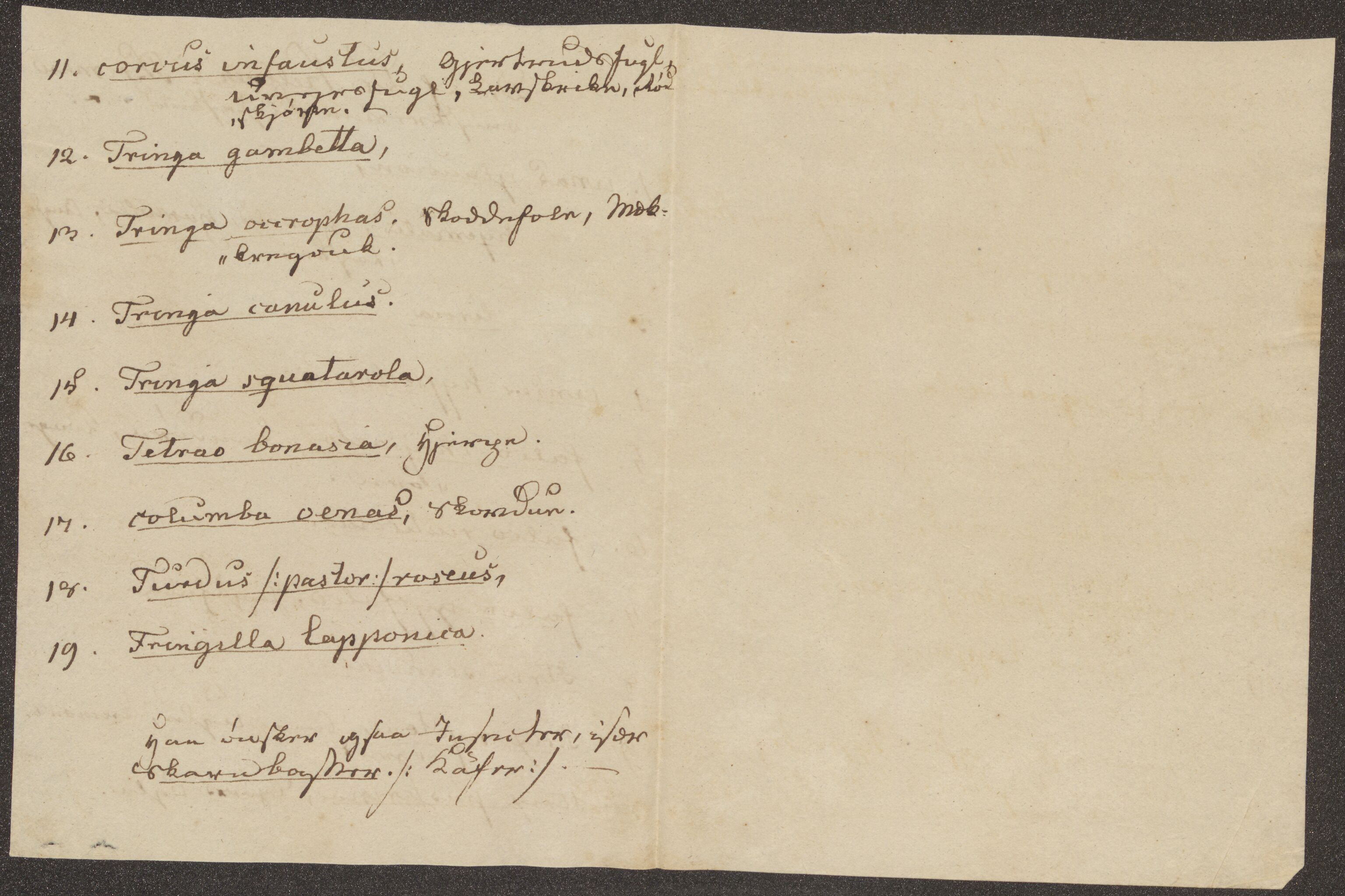 Bergens Museum, UMB/A007/D/Da/L0006/0003: Innkommende brev 1833 - 1834 / Innkommende brev 1834, 1834