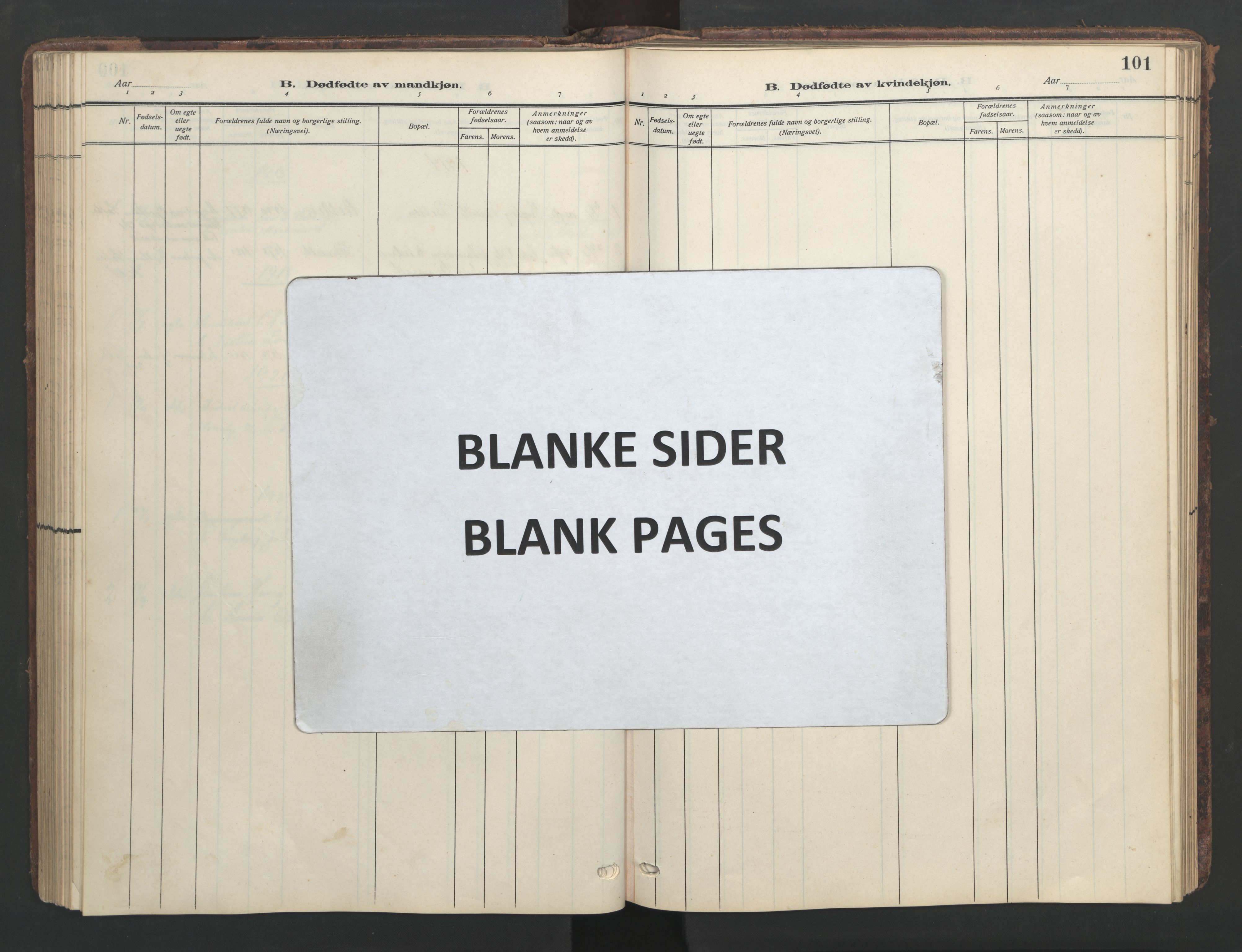 Ministerialprotokoller, klokkerbøker og fødselsregistre - Møre og Romsdal, SAT/A-1454/576/L0891: Klokkerbok nr. 576C02, 1909-1946, s. 101